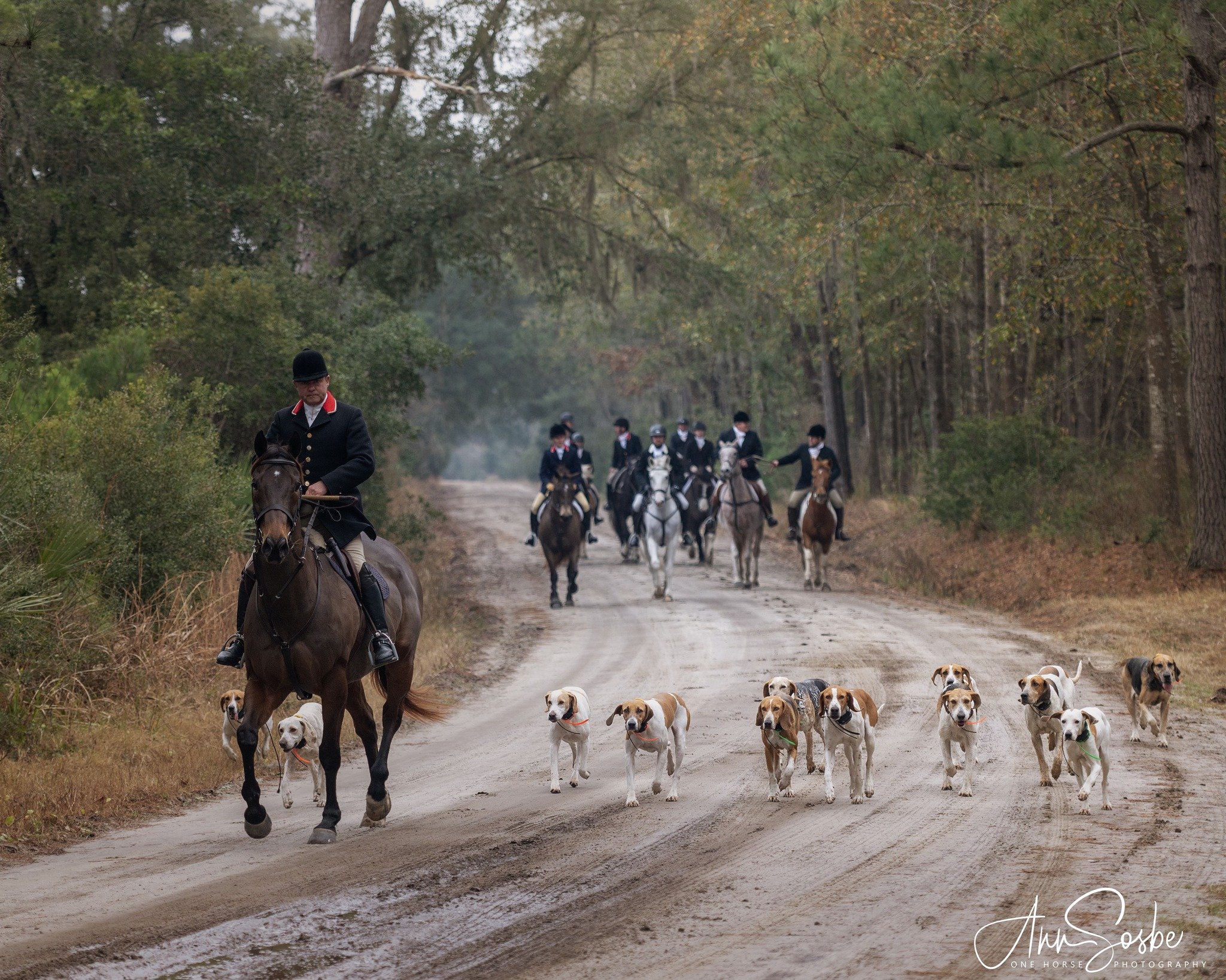 1/28 Informal Hunting at Bit O Heaven