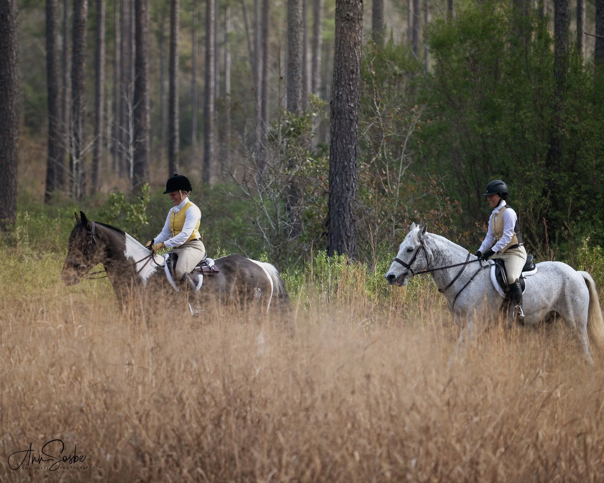 2/4 Informal Hunting at Moss Oaks West (BOH)