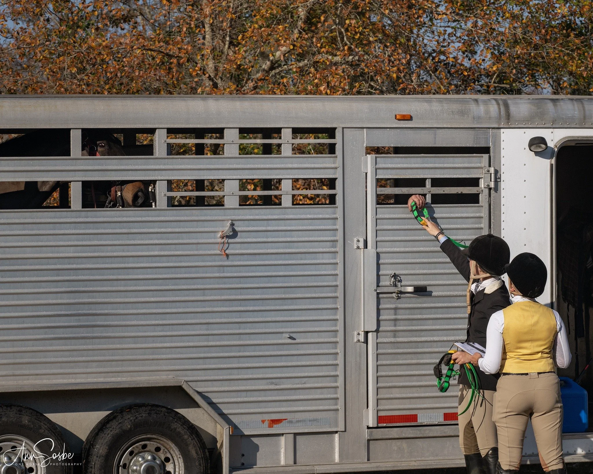 2/7 Formal Hunting at Triple Wing