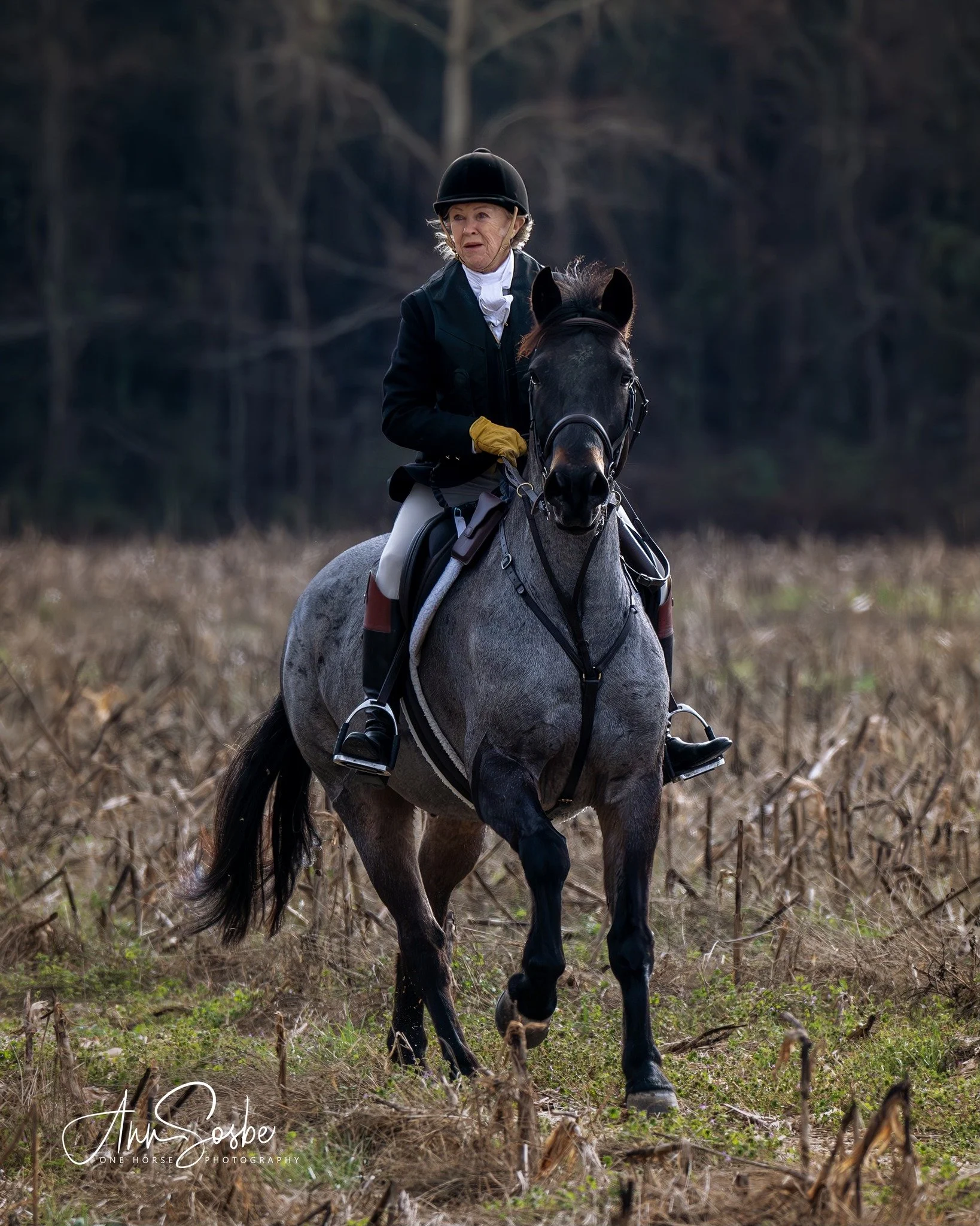 2/14 Formal Hunting at Rizer's 