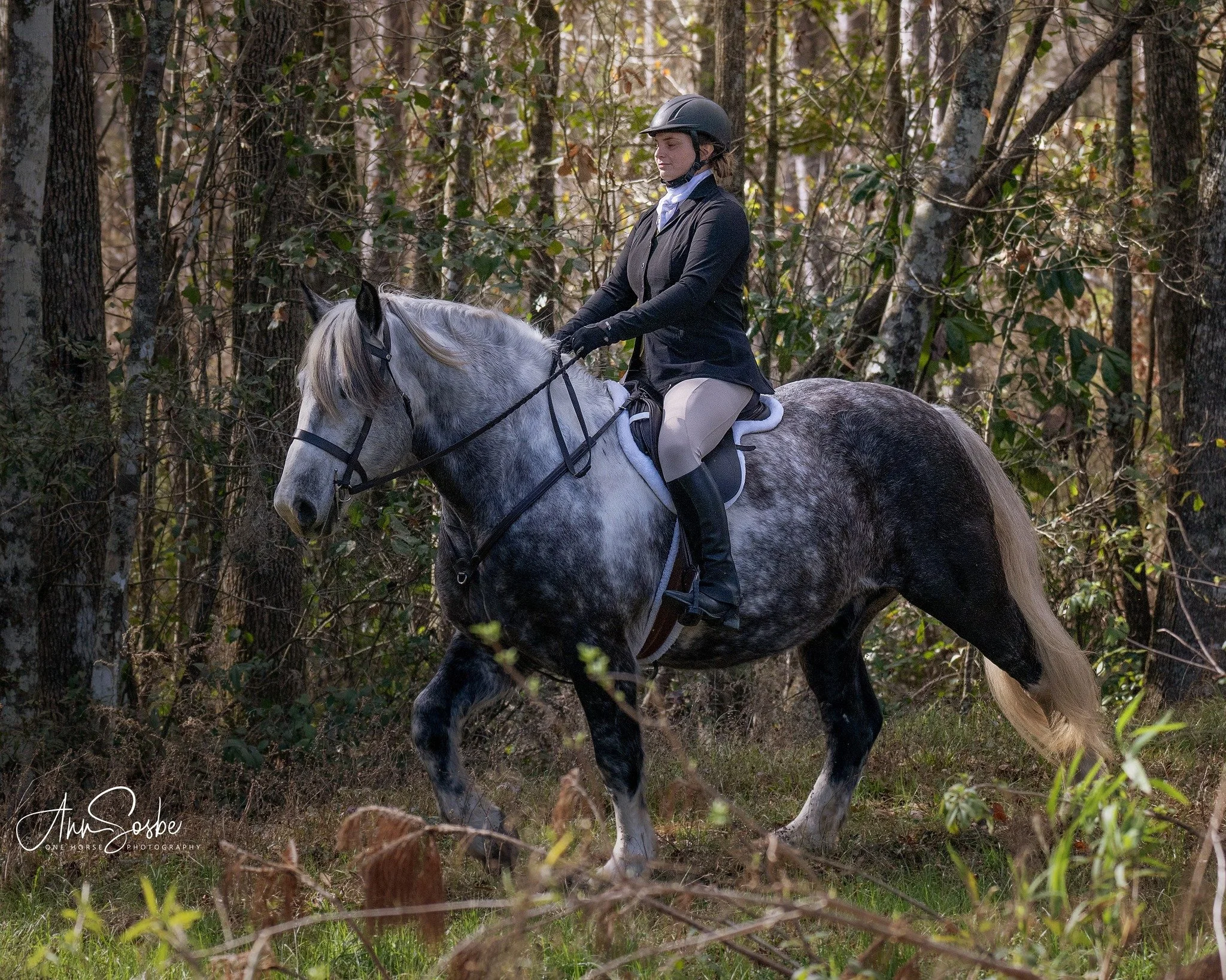 3/18 Informal Hunting at Broxton East