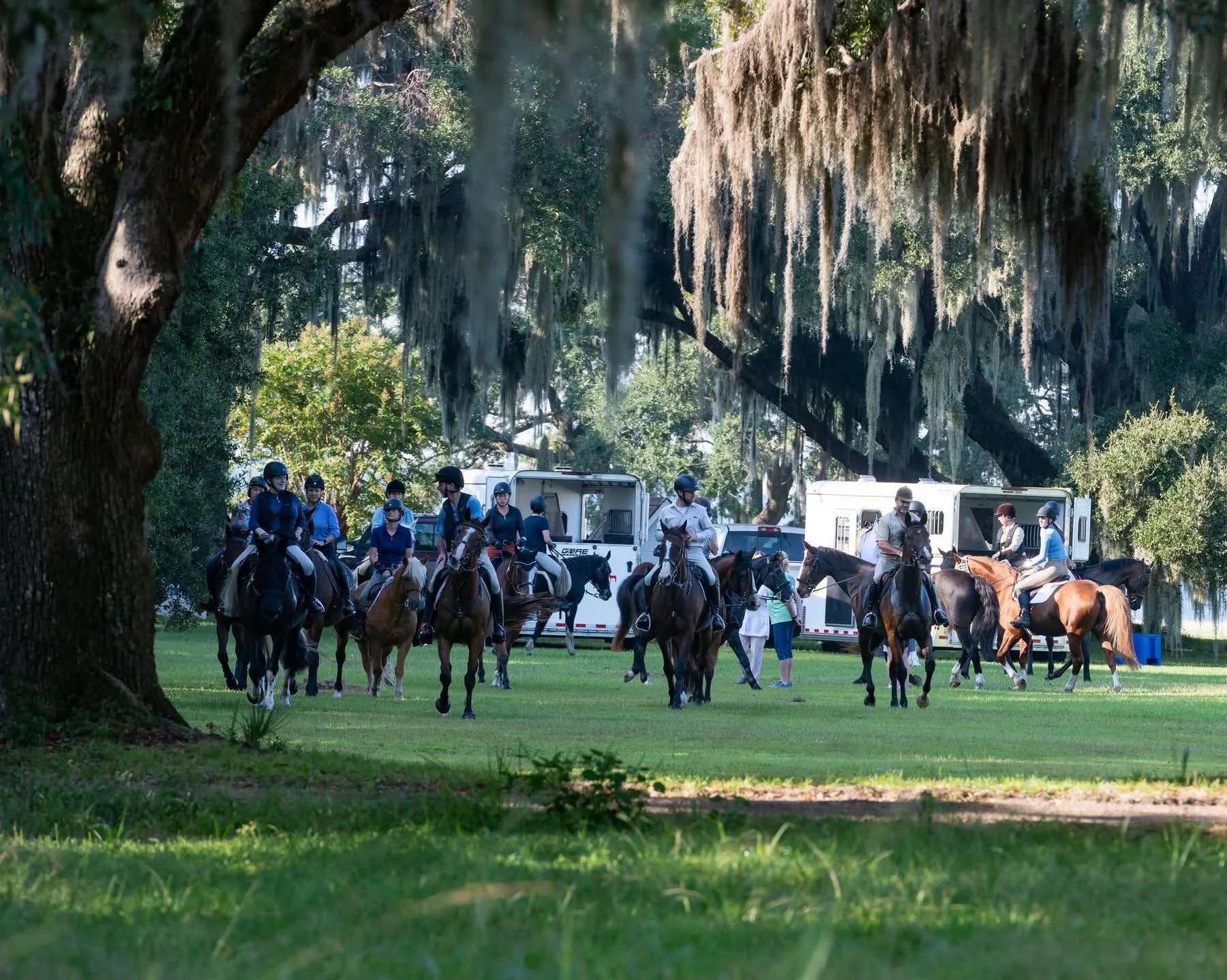Salt Marsh Social: Edisto River Adventures