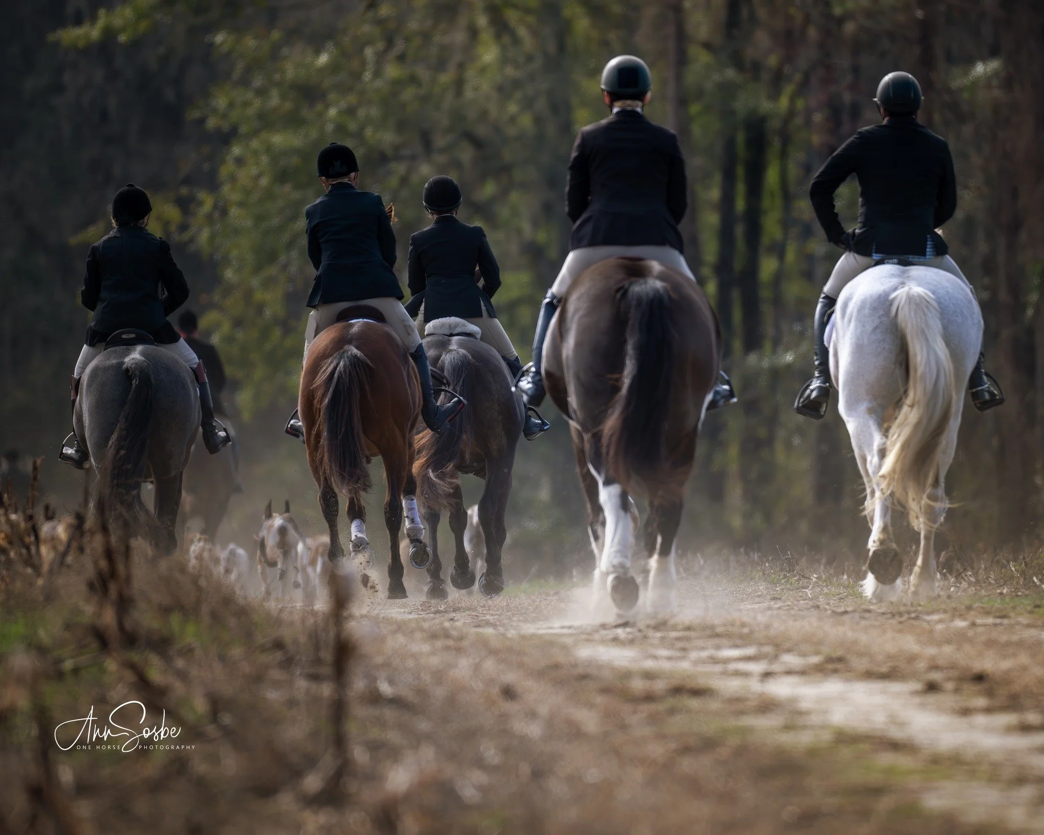Fall Trail Ride
