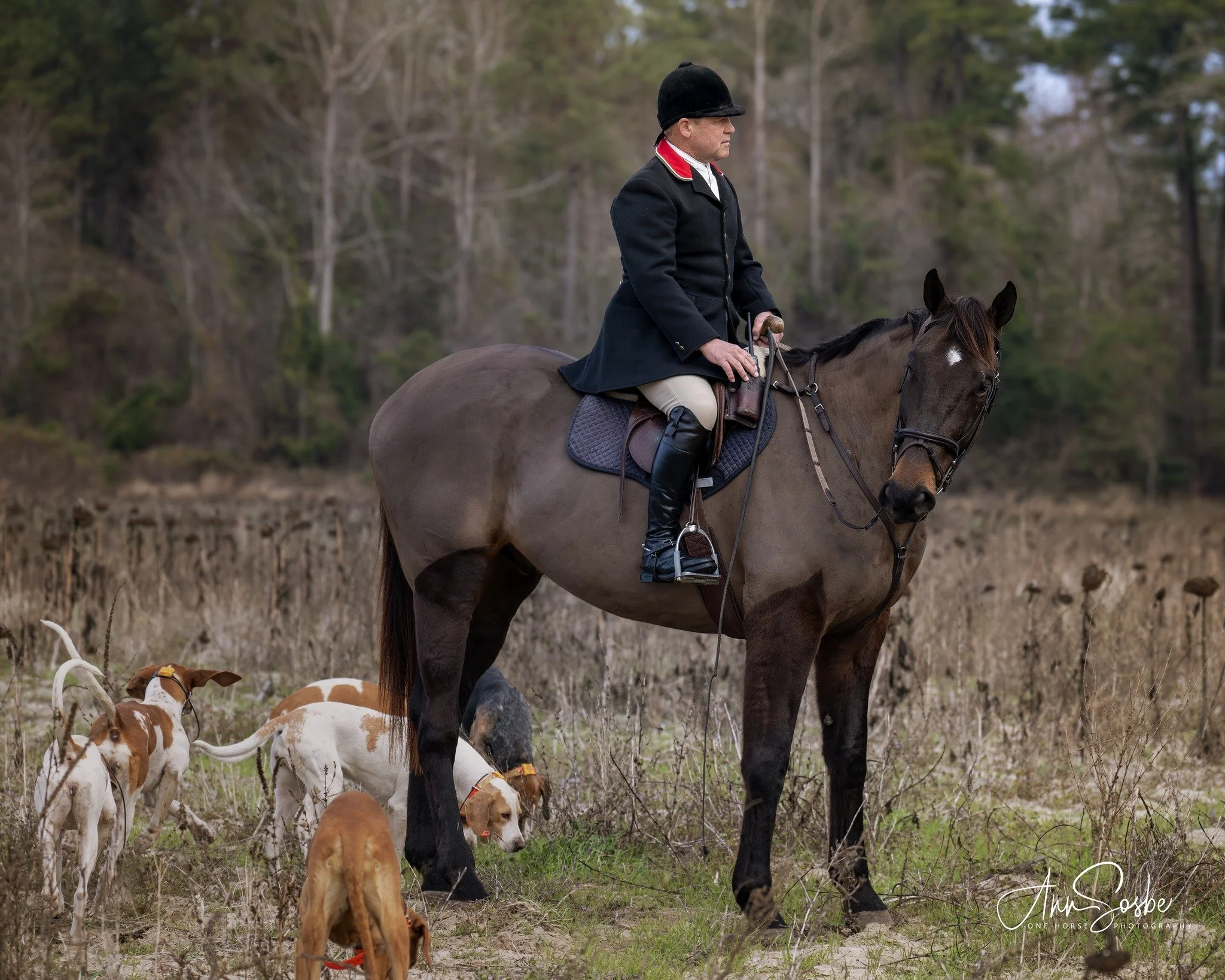 Mounted Hound Exercises