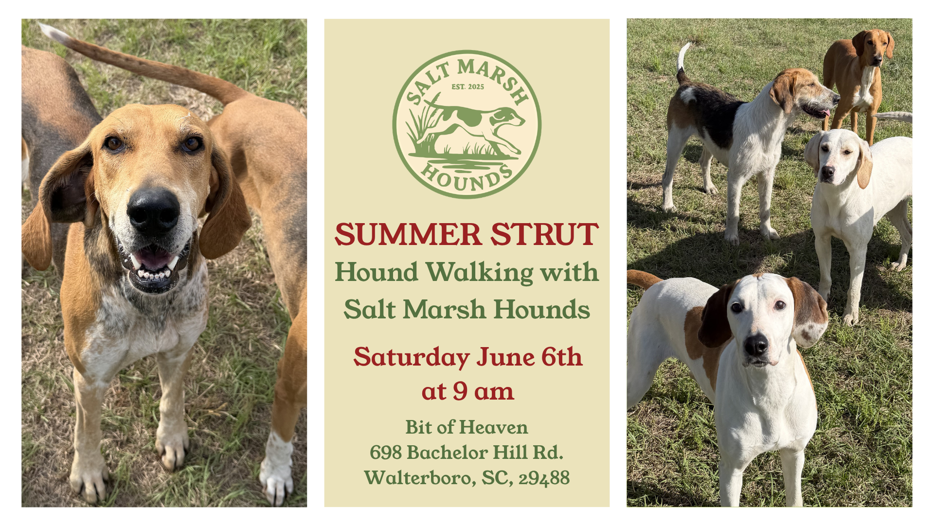 Summer Strut: Hound Walking
