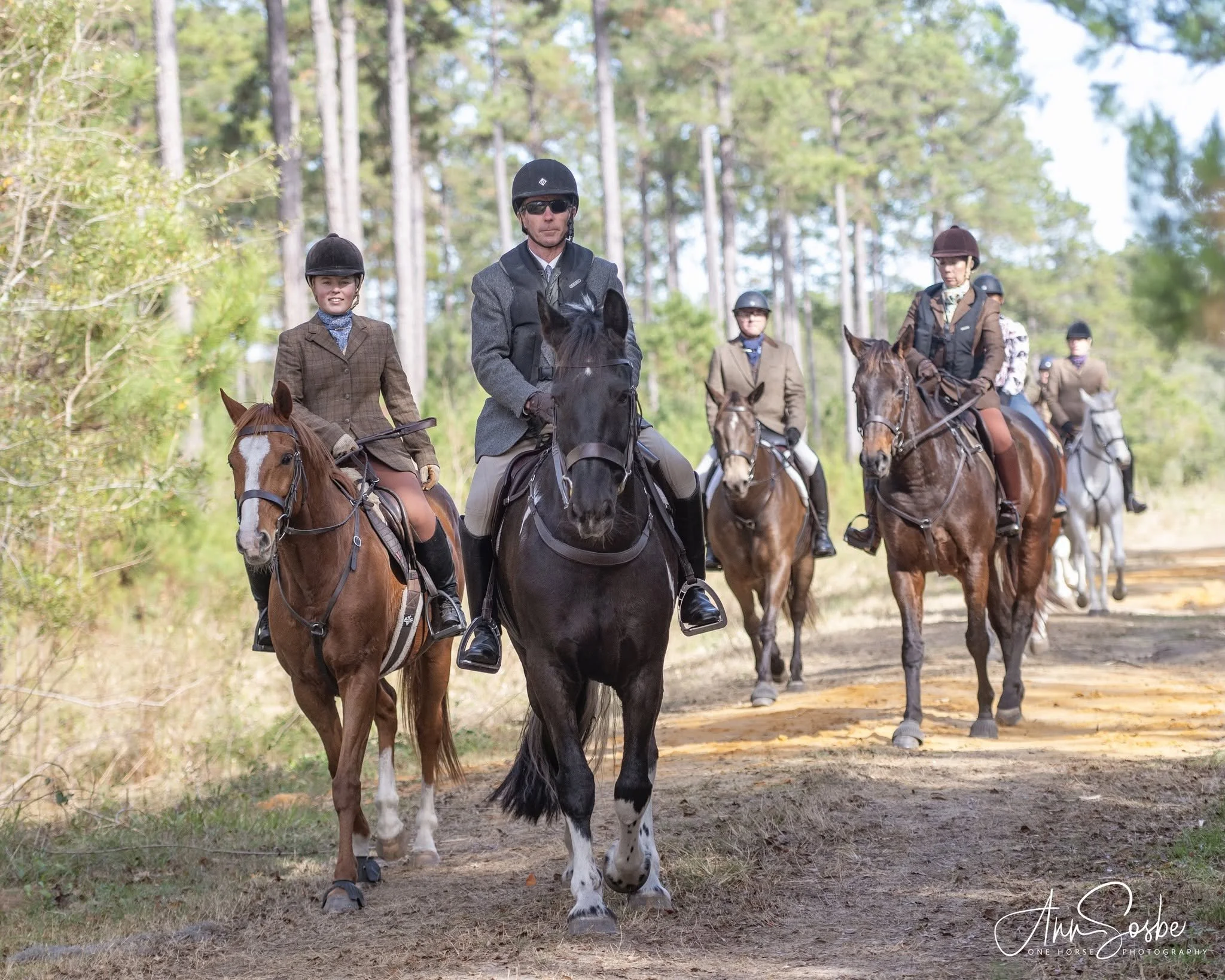 Joint Meet with Belle Meade Hunt 