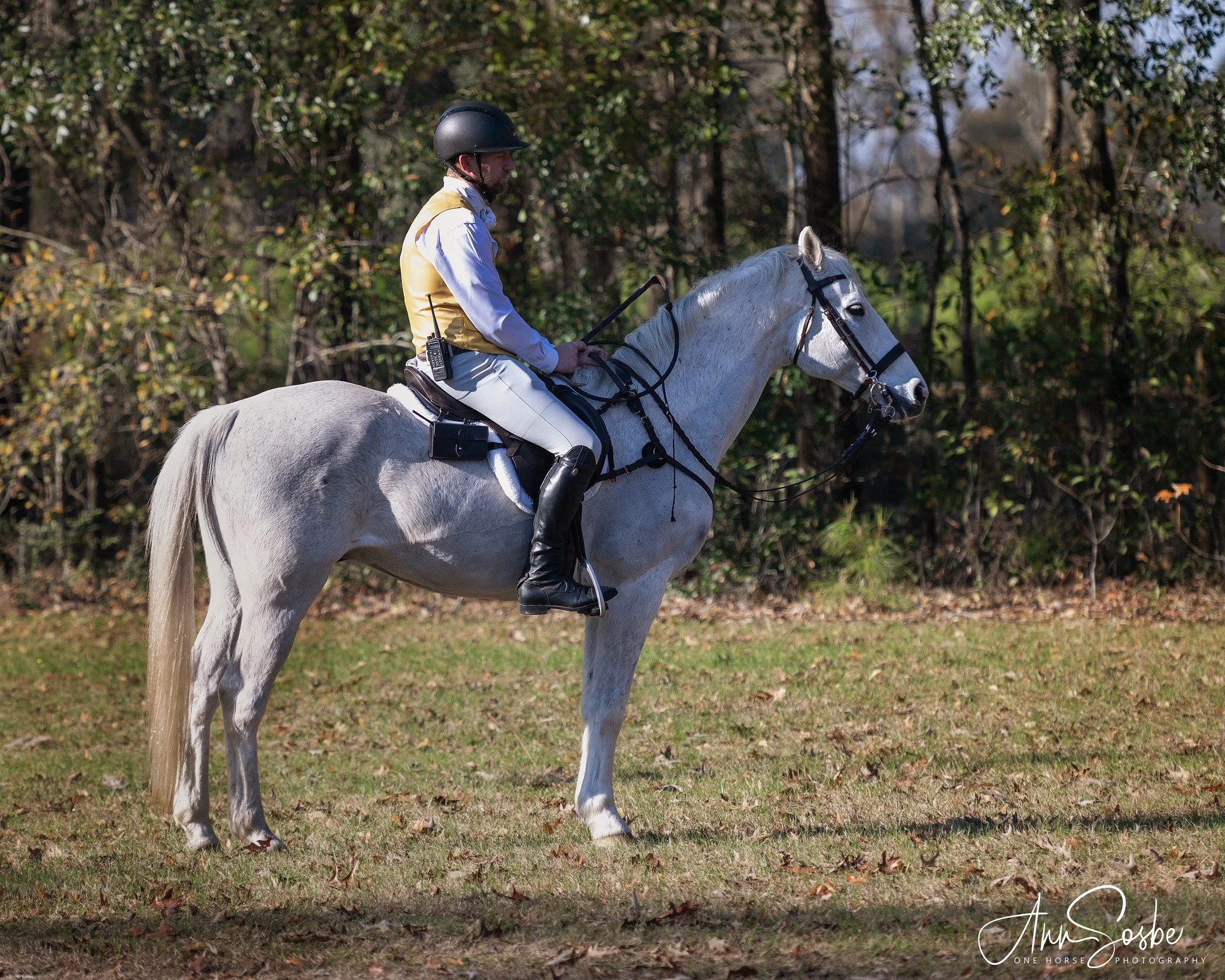 Guest Adult Tally Ho Ticket