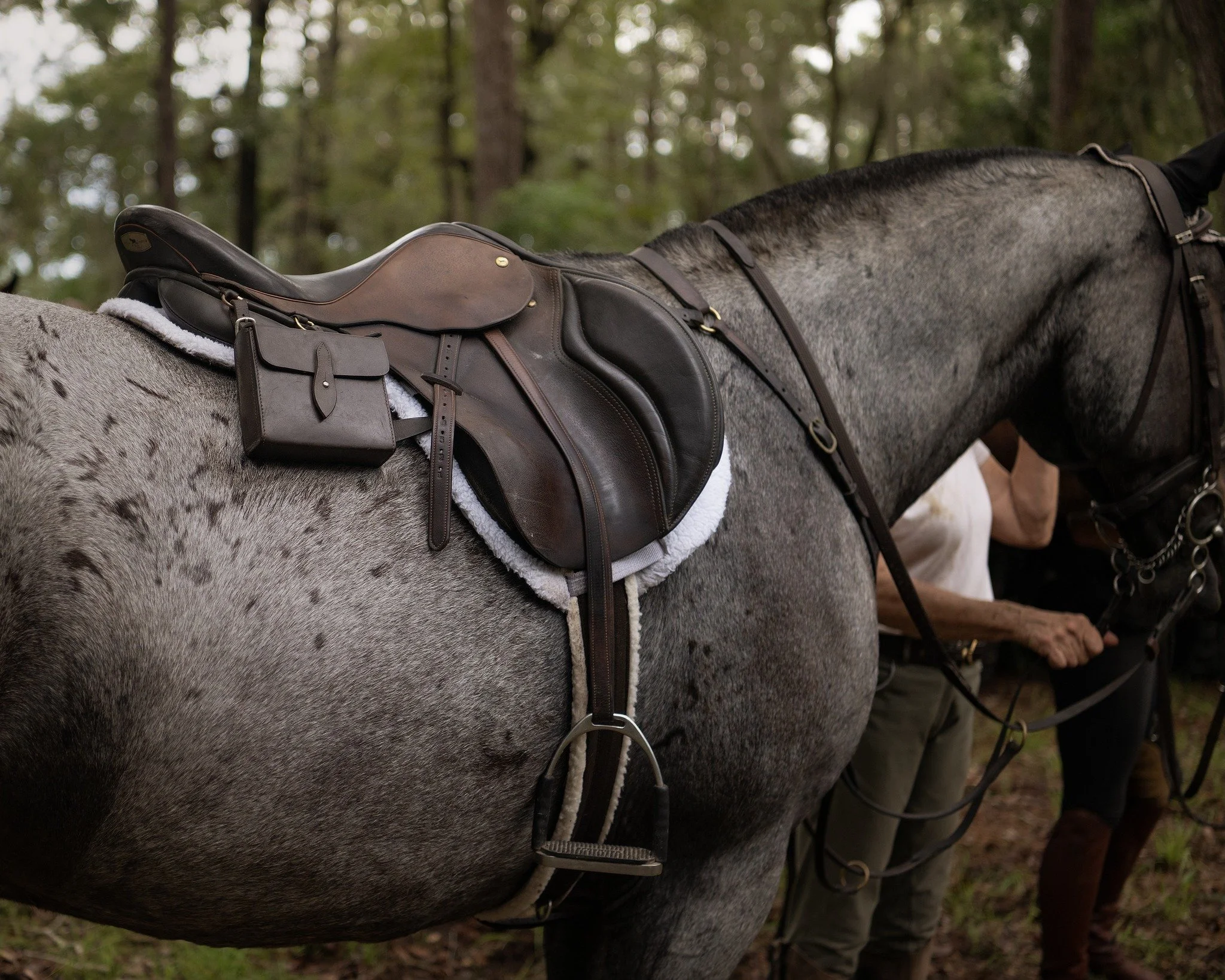 Member - Child's Ticket (Age 0-10)