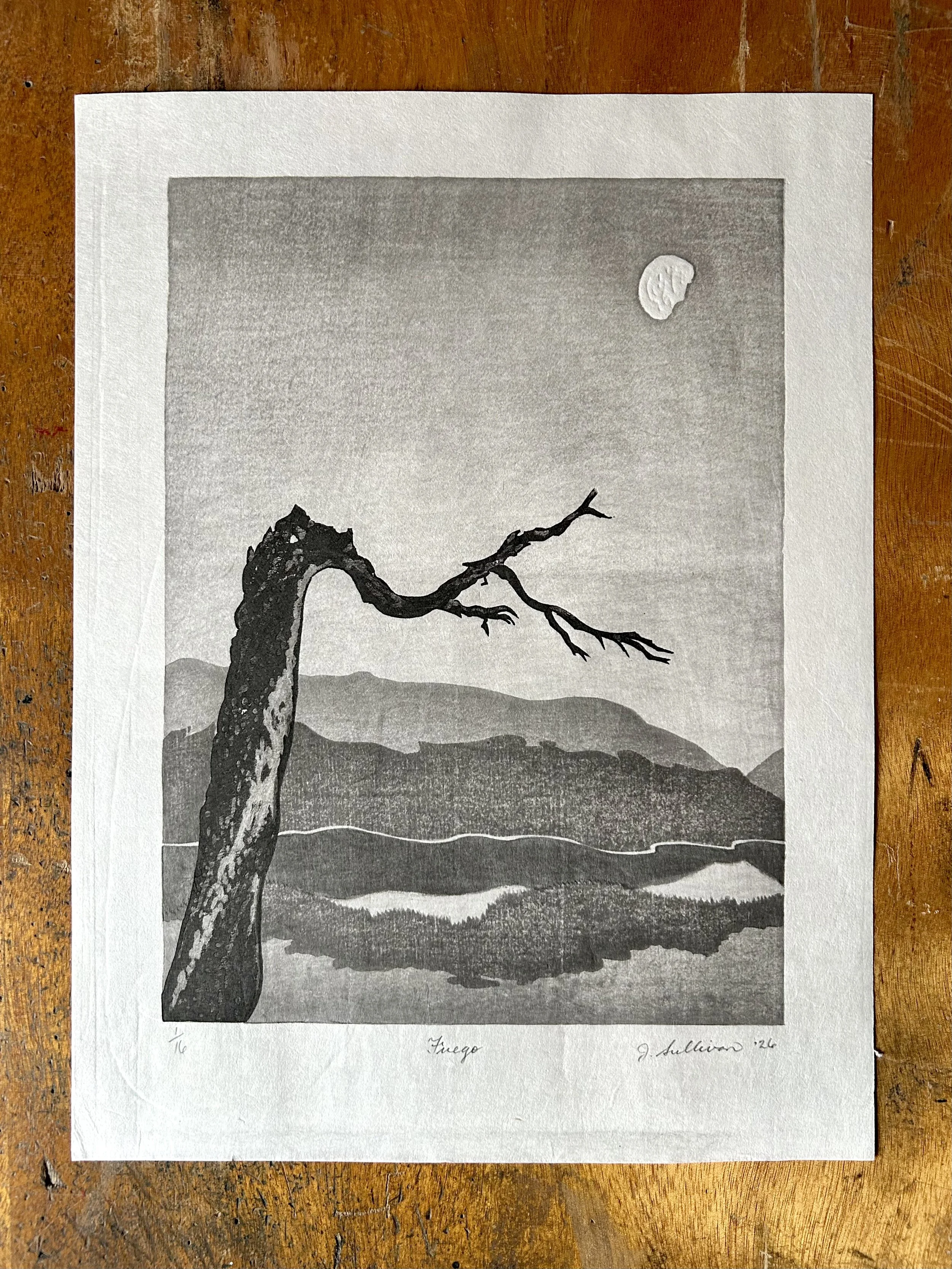 Fuego - 9" x 12" mokuhanga woodcut on Nasu Kozo washi made by Yamada Paper Mill, Echizen, Japan (2026)