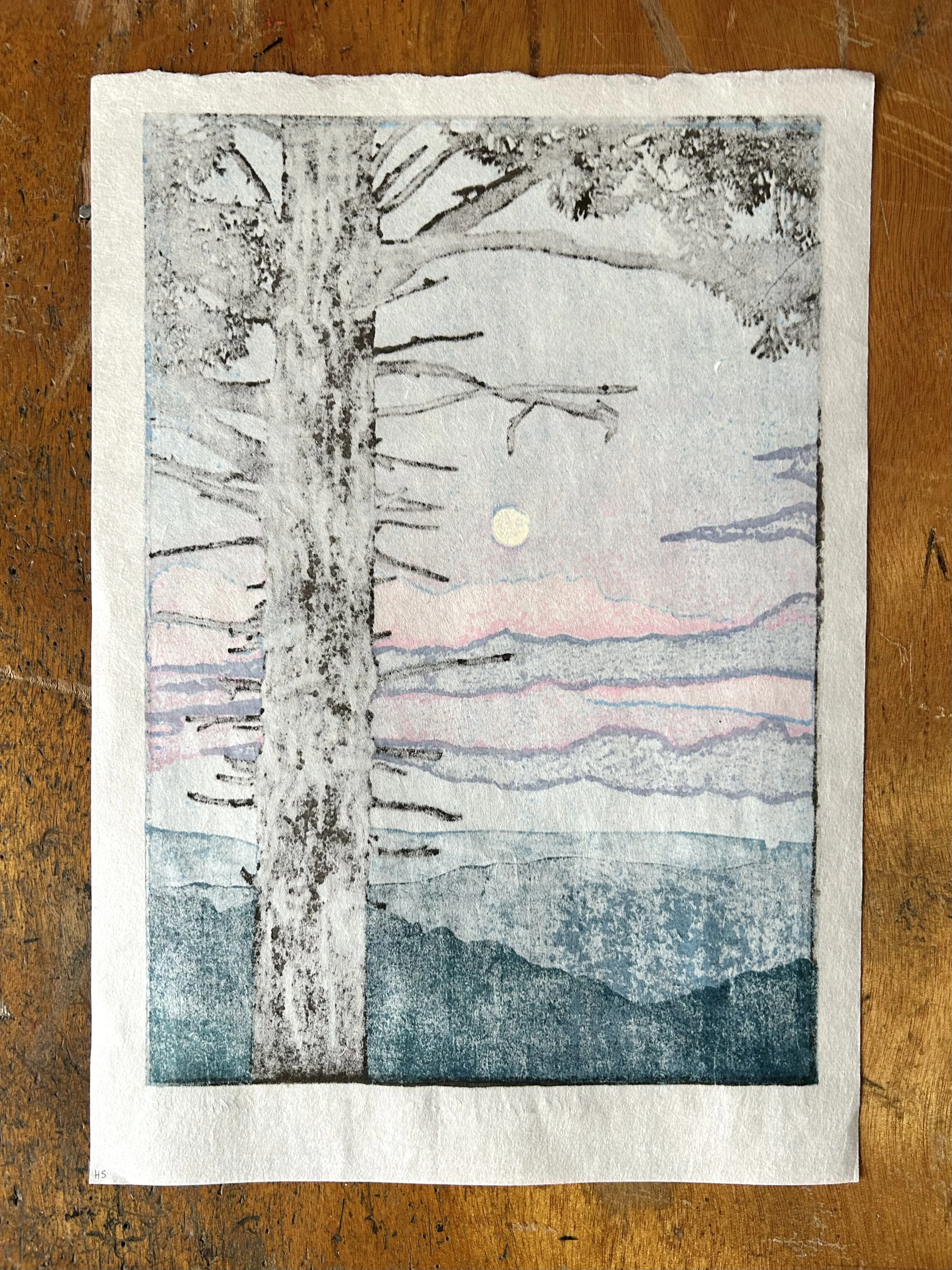 Salt Spring Vista - reverse (2025)