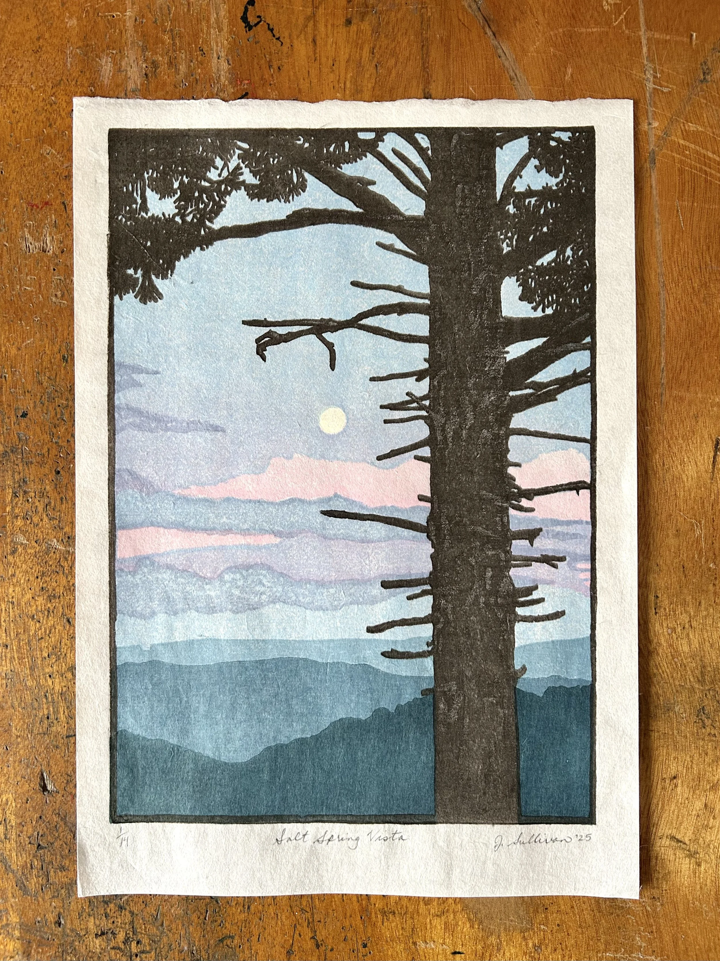 Salt Spring Vista - 8" x 11" mokuhanga woodcut on Hosokawa Student washi (2025)