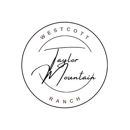 Women In Business Pop Up Market