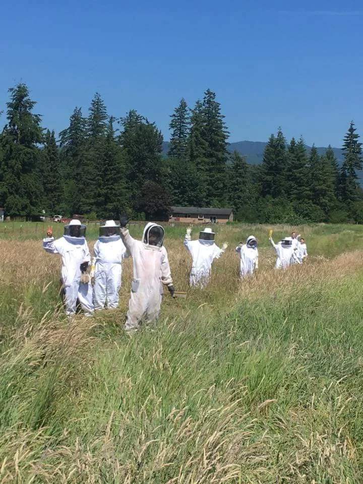 Group of people wearing protective beekeeping suits working with beehives in a field of tall grass, with trees and mountains in the background.
