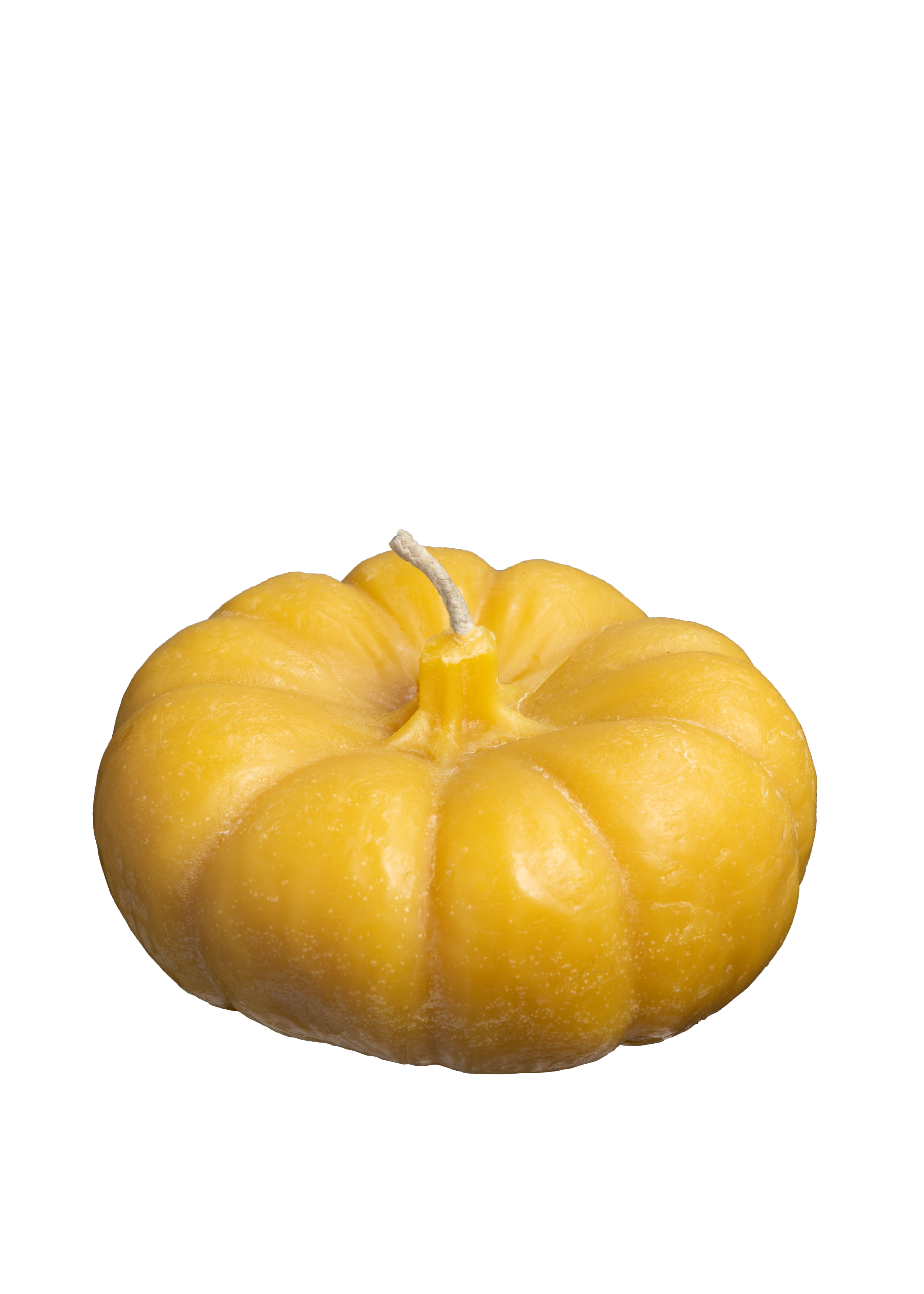 pumpkin.png