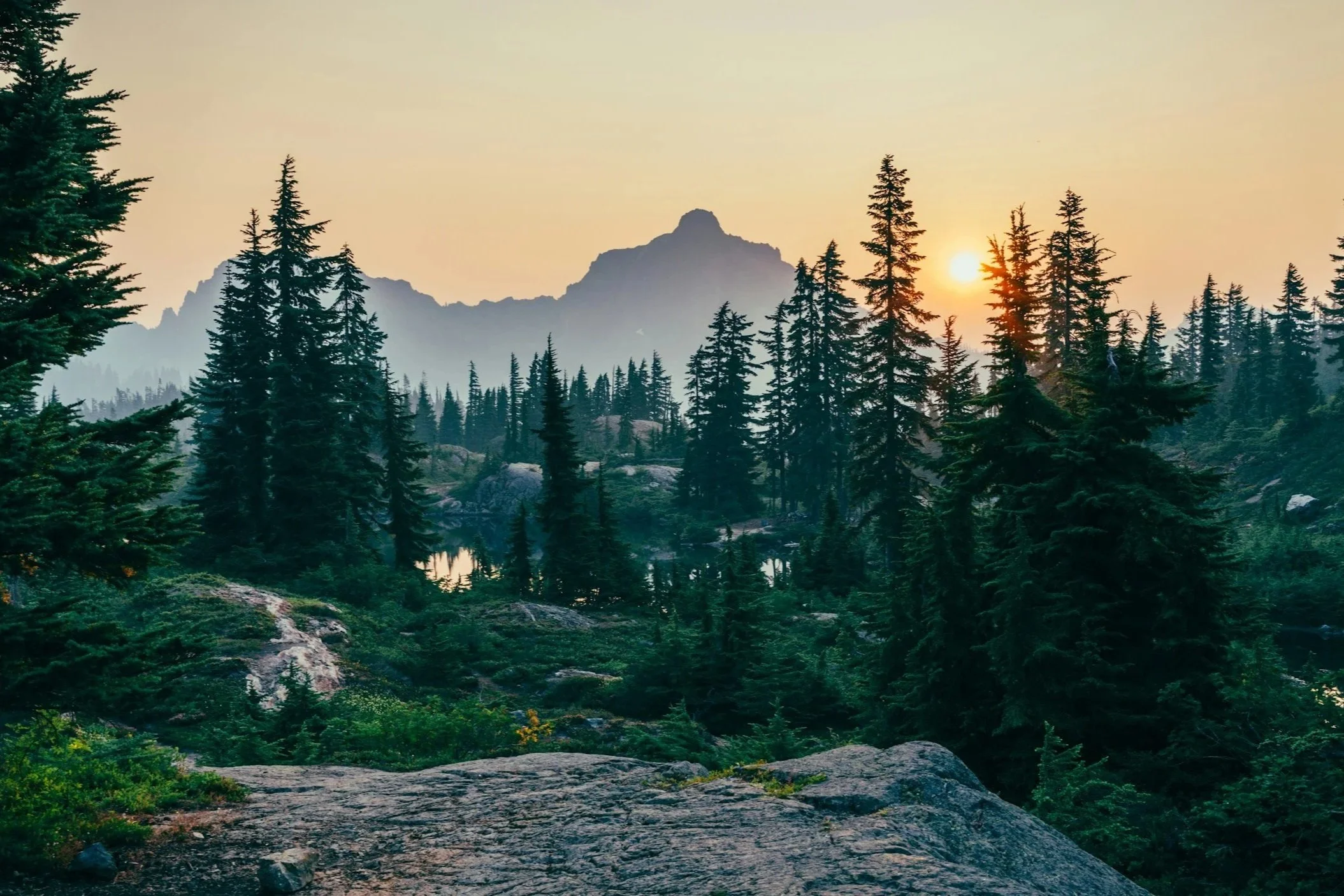unsplash-image--heLWtuAN3c.jpg