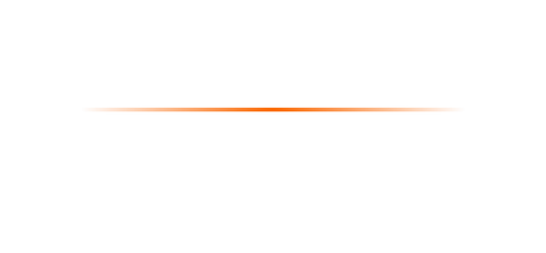 TALON Certified API Partner Badge