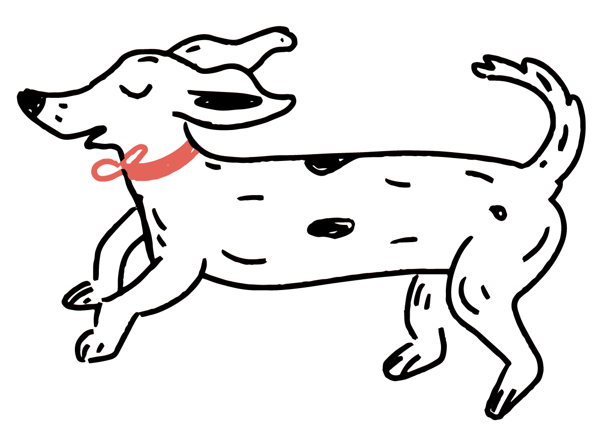Illustrazione di un cane con collare rosa e fiocco sul collo