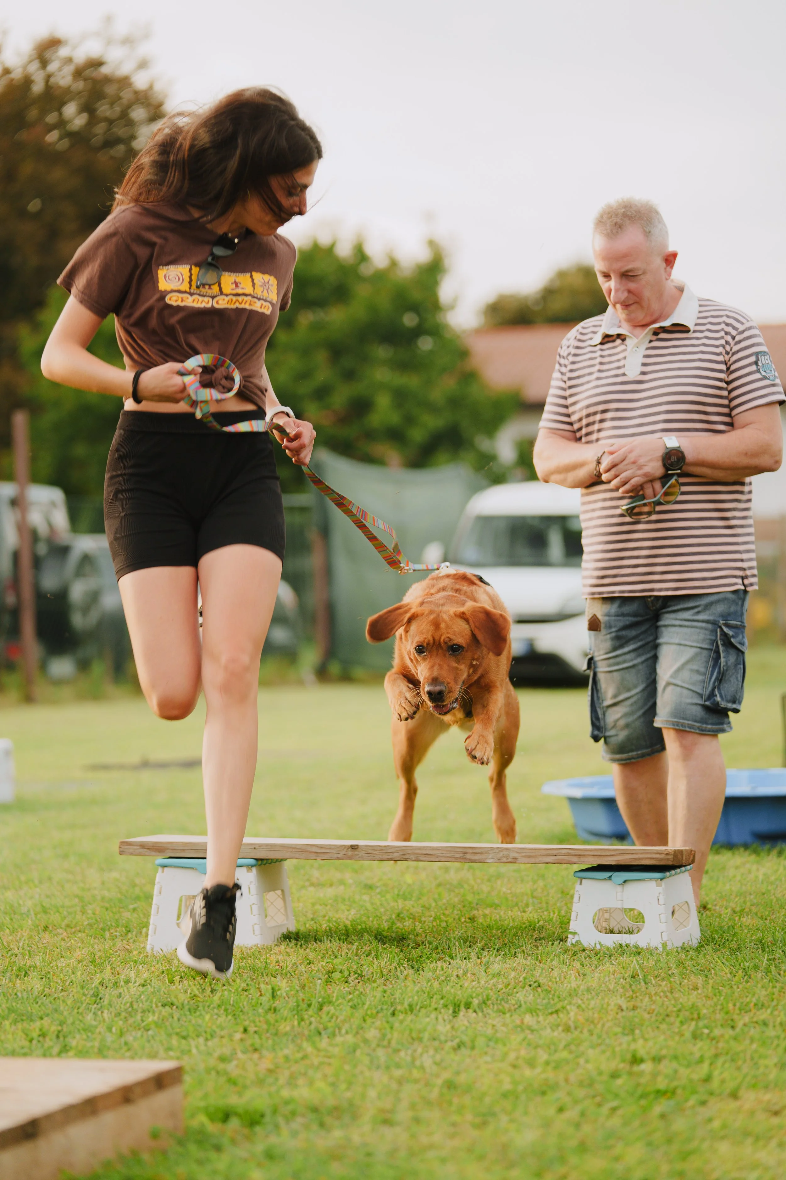 Una donna e un uomo stanno partecipando a un'attività di addestramento canino all'aperto. La donna sta guidando un cane mentre salta su una piattaforma di addestramento, mentre l'uomo osserva. È un'attività di agility con un prato verde e alcune strutture di supporto visibili sullo sfondo.