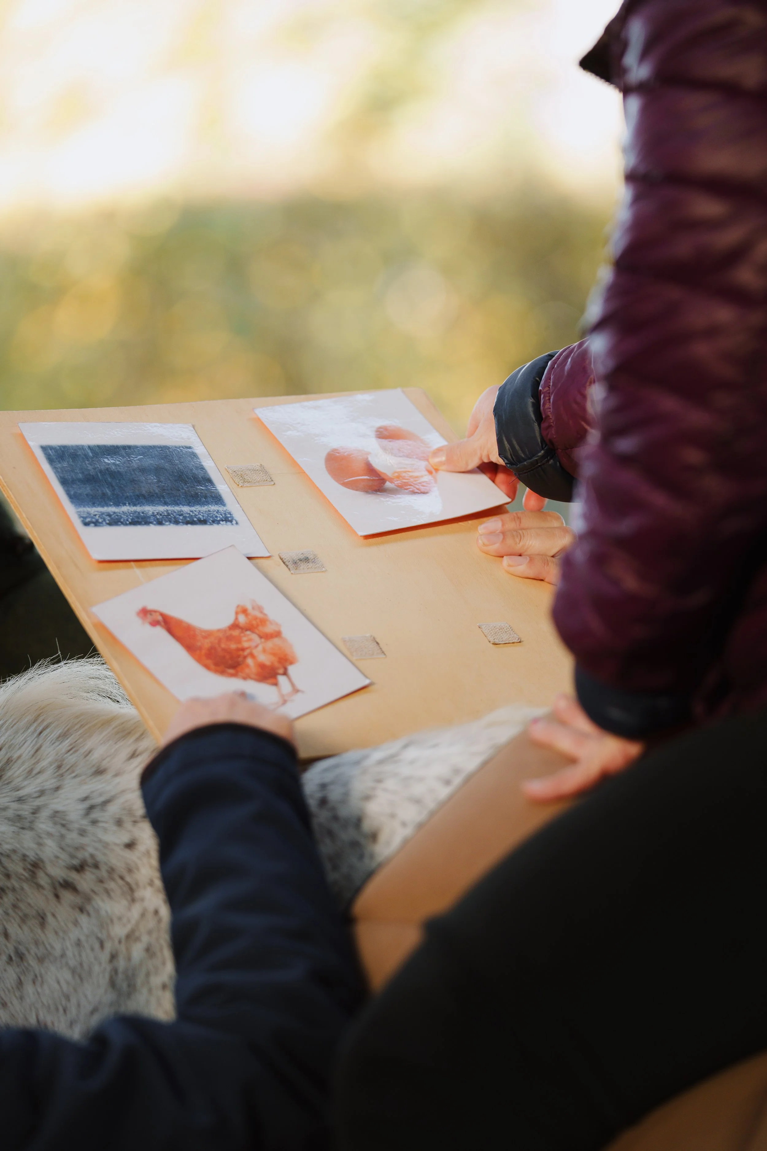 Sessione pet therapy con bambini
