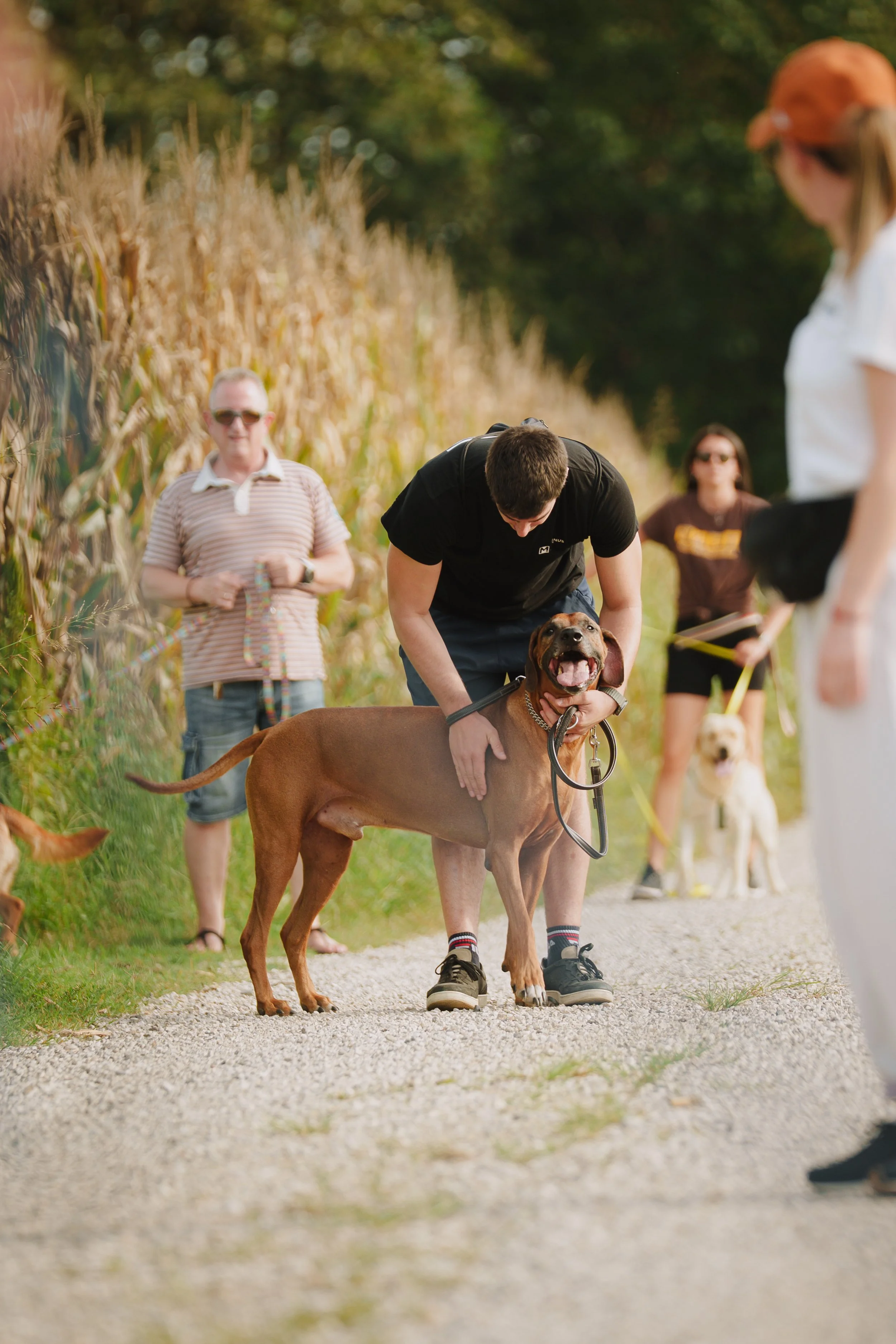 Un gruppo di persone con cani