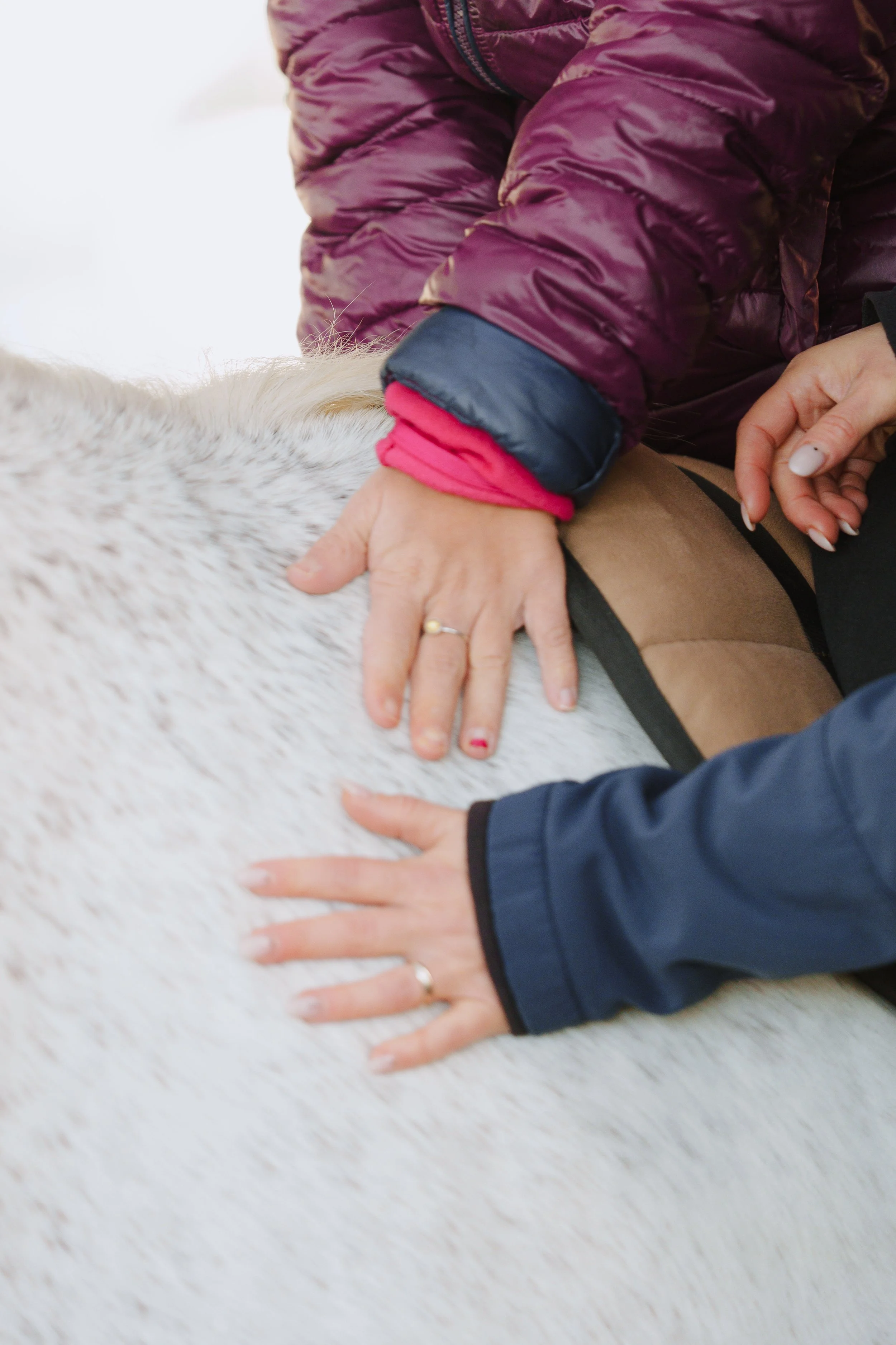 La mano di un bambino e la mano di un adulto che accarezzano il manto di un cavallo