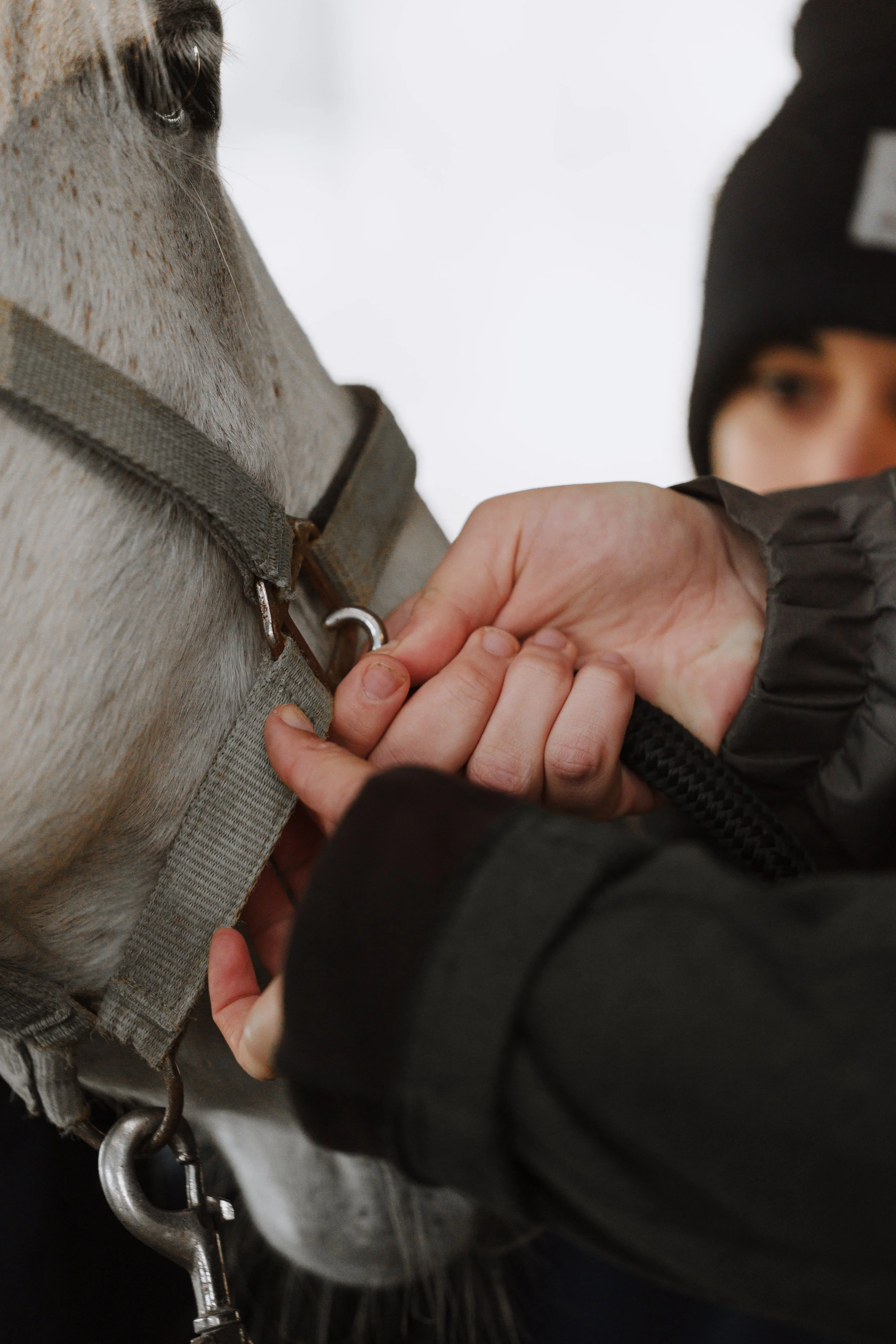Silvia Gambarotto con un cavallo