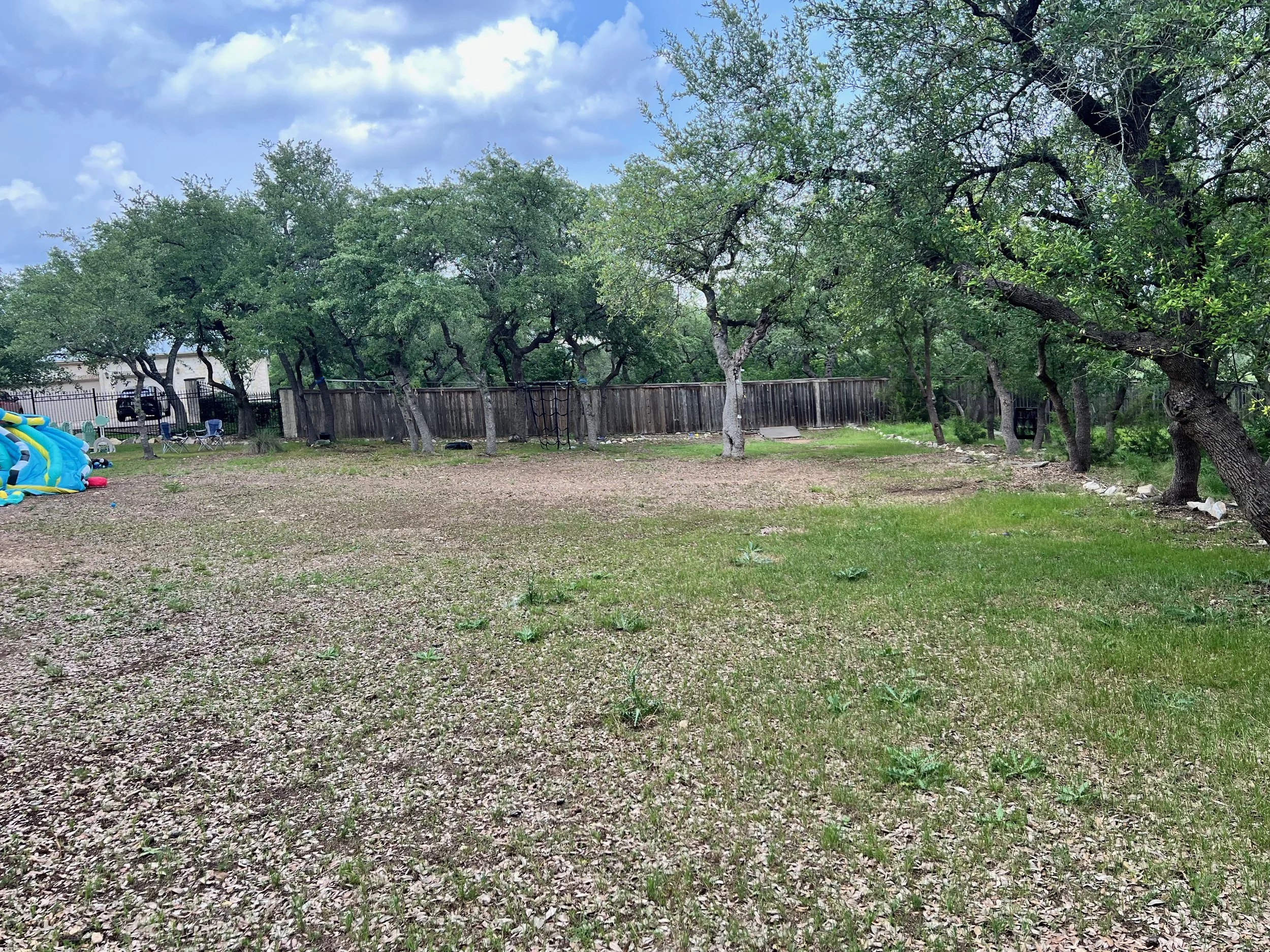 A backyard with a mix of grass and dirt, trees along the yard's perimeter, a wooden fence at the back, and playground equipment visible on the left side.