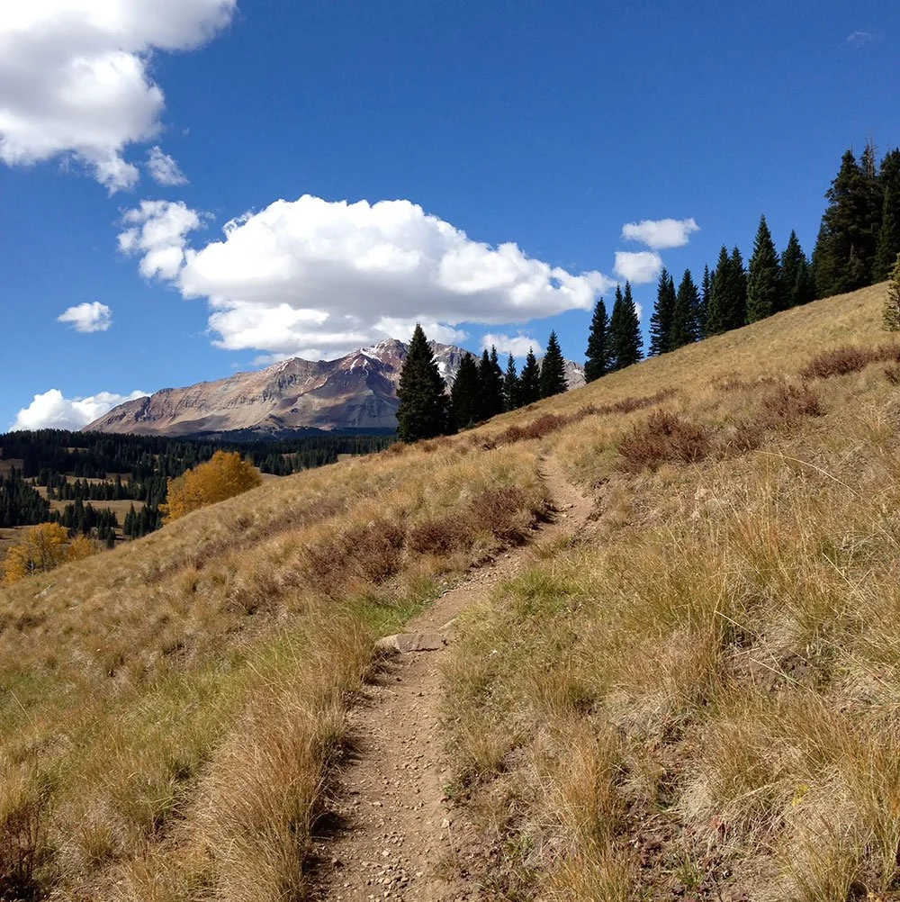 East Fork Trail near Lizard Head pass.