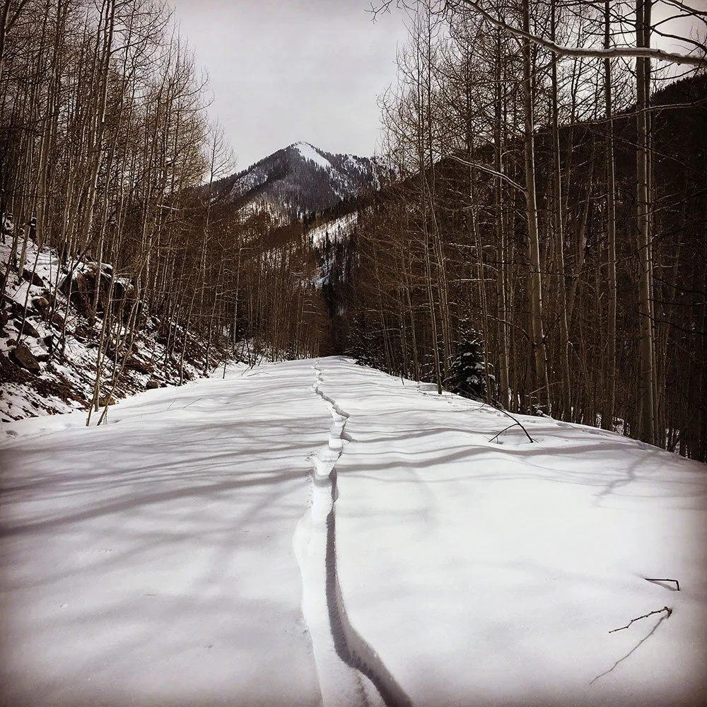 End of 2020: RTA Reflects on Year's Accomplishments