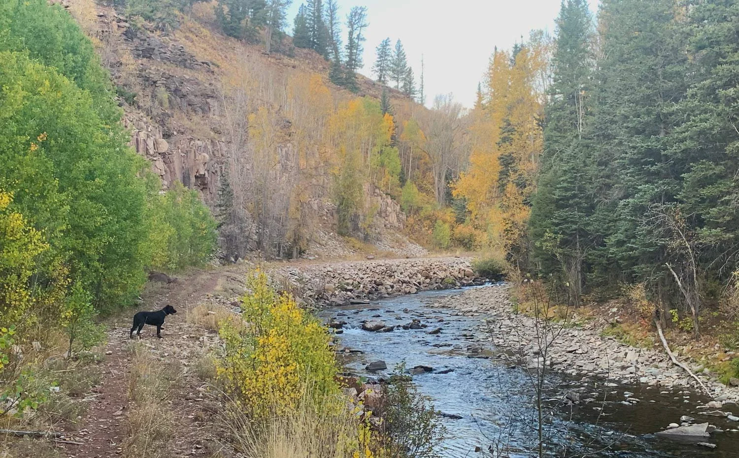 USFS Releases Draft Environmental Assessment for the Rico Trails Project