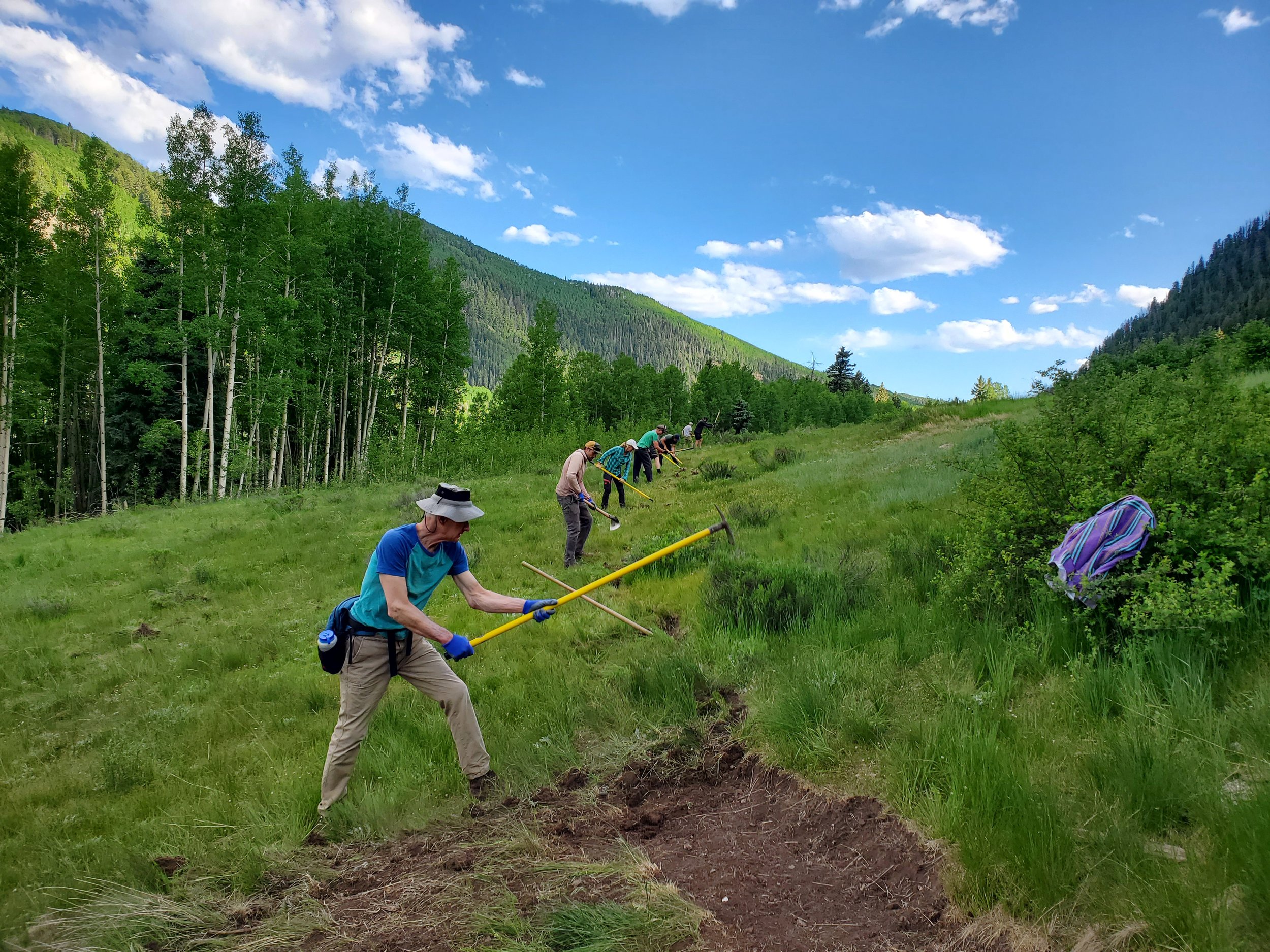 2025 Impact Statement