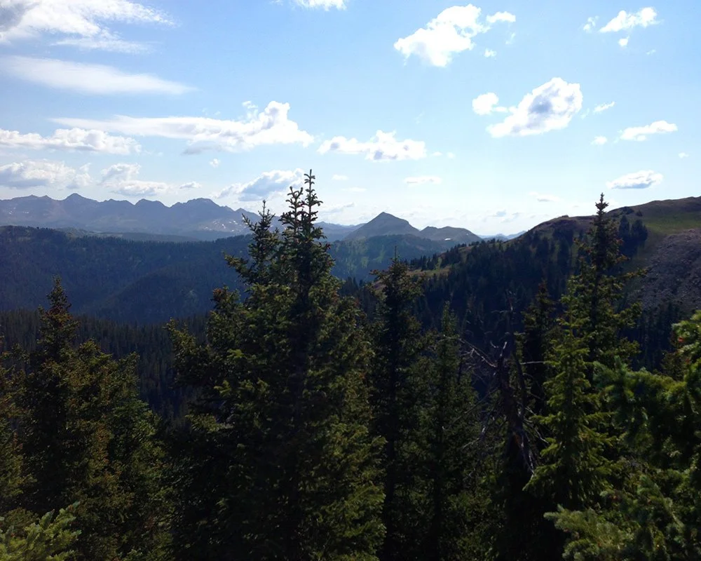 Mountain landscape near Rico, Colorado with trees in the foreground and mountains in the background under a partly cloudy sky.