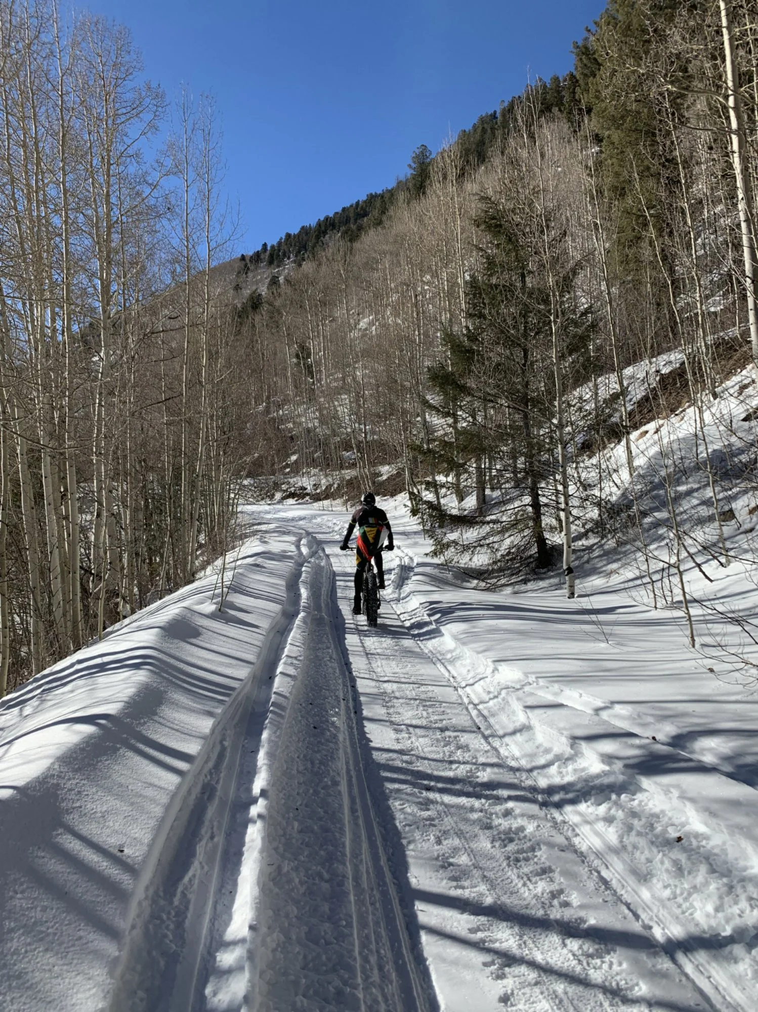 Fat bike grooming on the trails behind Rico, Colorado.