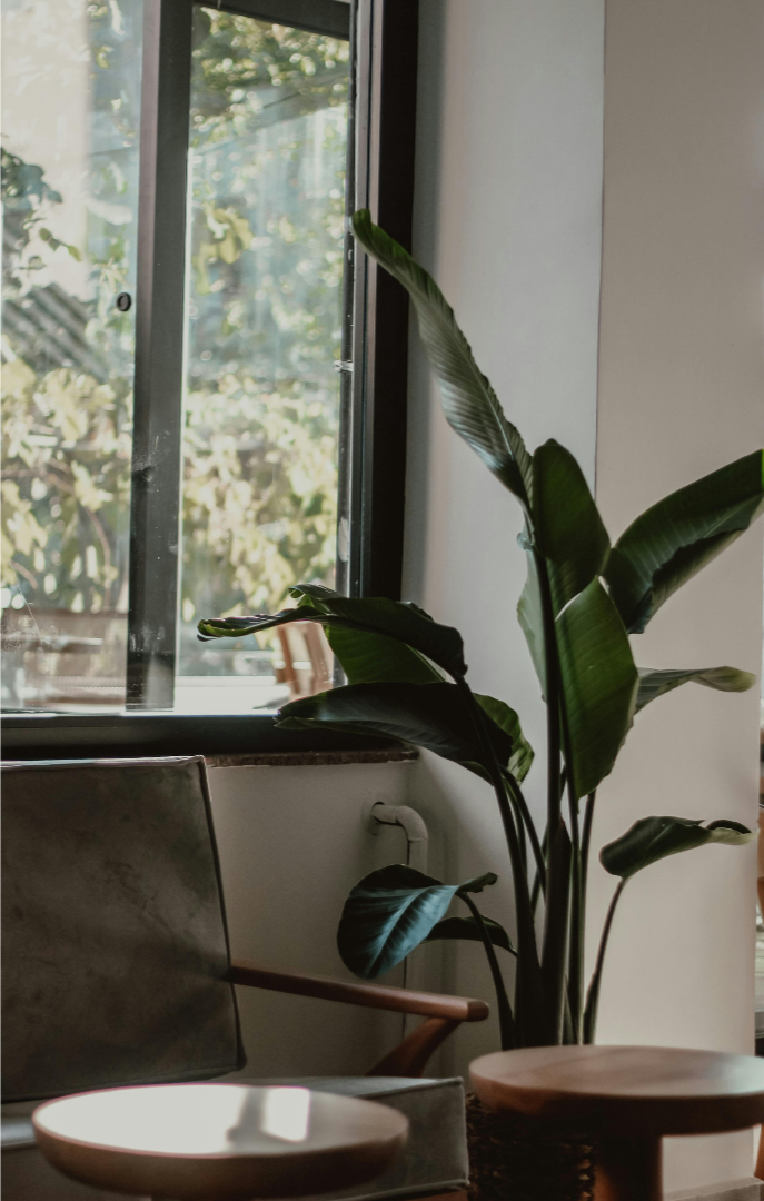 Minimal office space with natural light and greenery, reflecting a calm and organized approach to financial systems and bookkeeping.