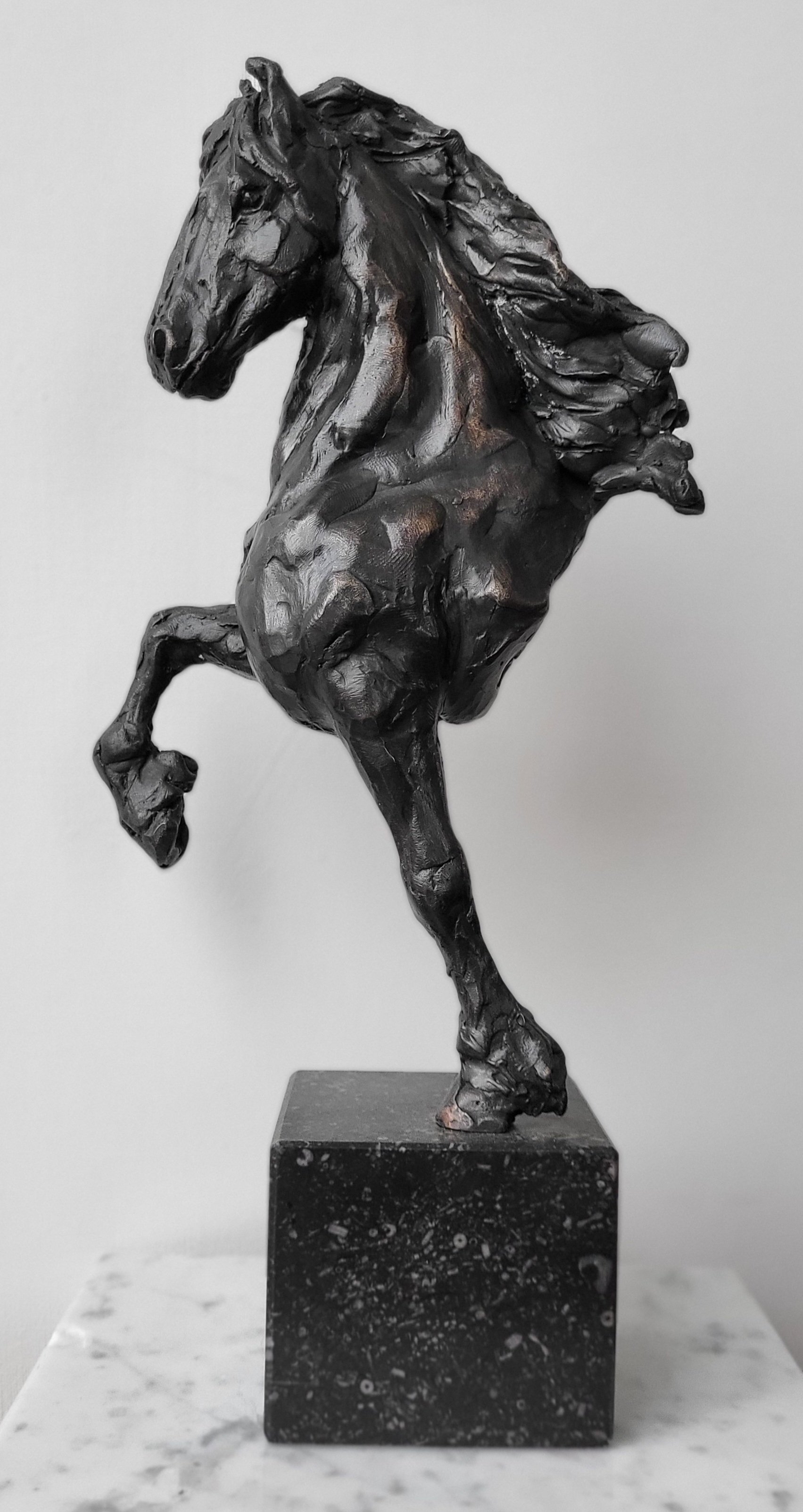Annuska ’t Hart · Friesian Stallion, bronzen sculptuur, €1.000
