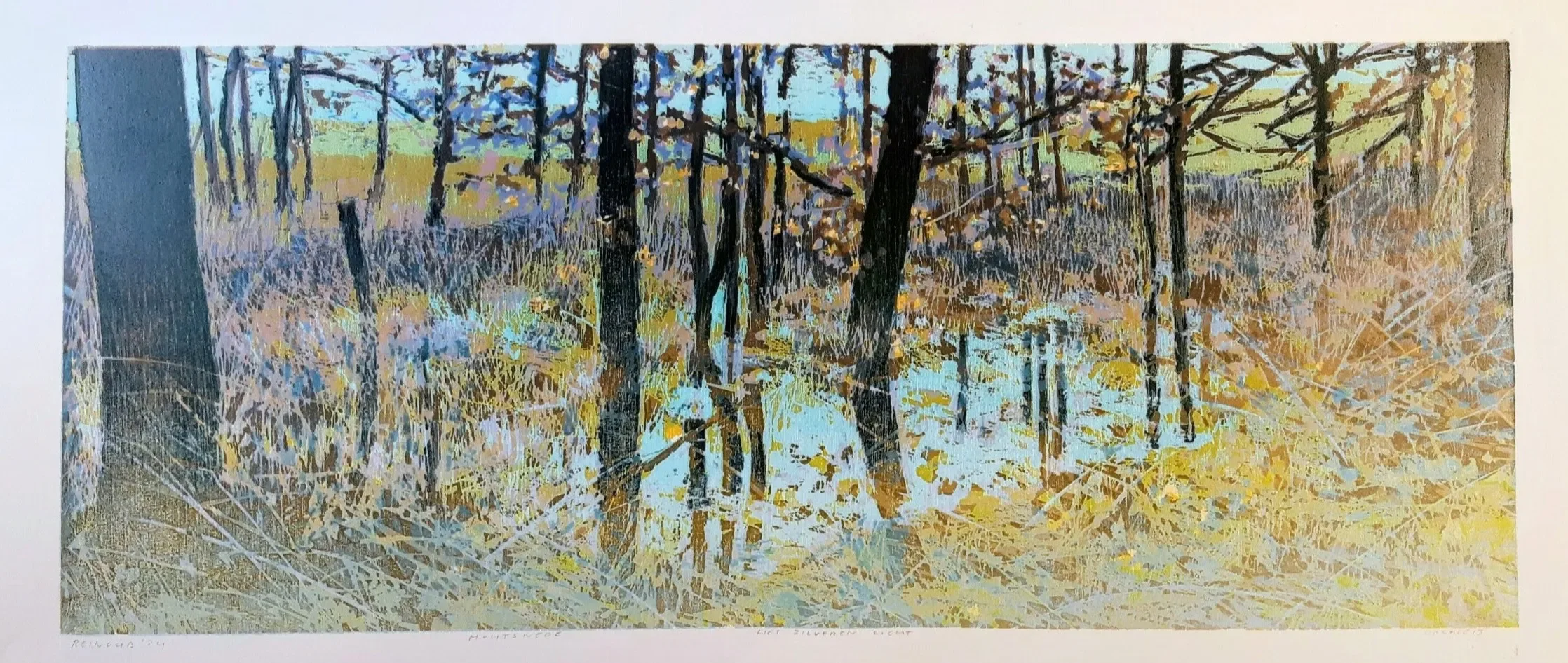 Rienoud Kuipers, Het zilveren licht 20251024-122401~3.webp