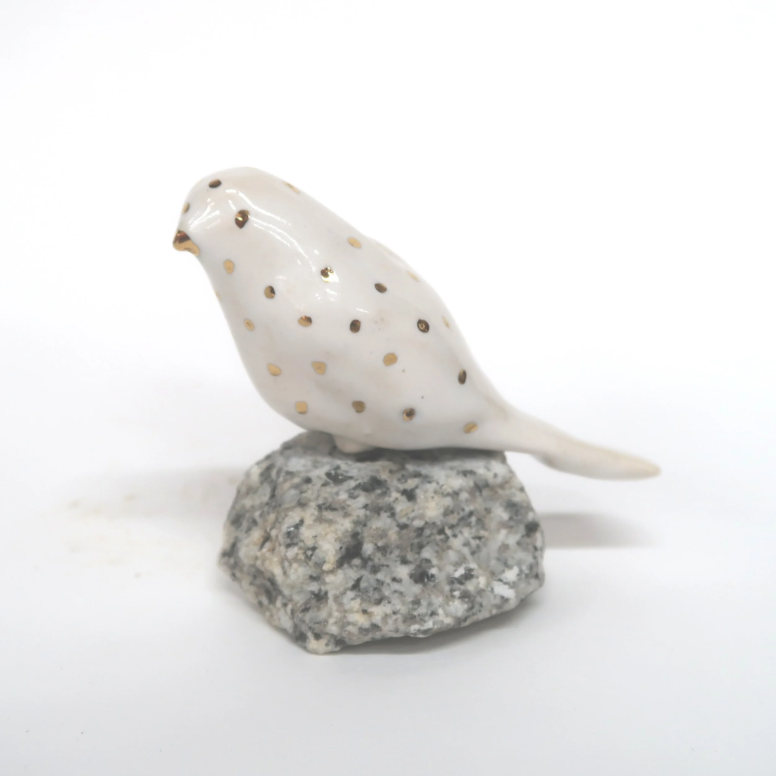 Jaqueline van Munster