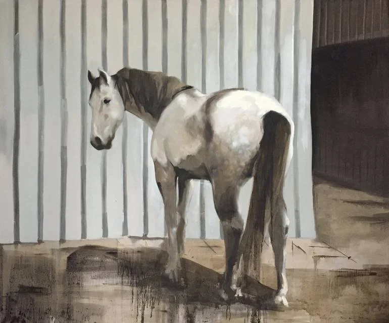 big white horse .jpg
