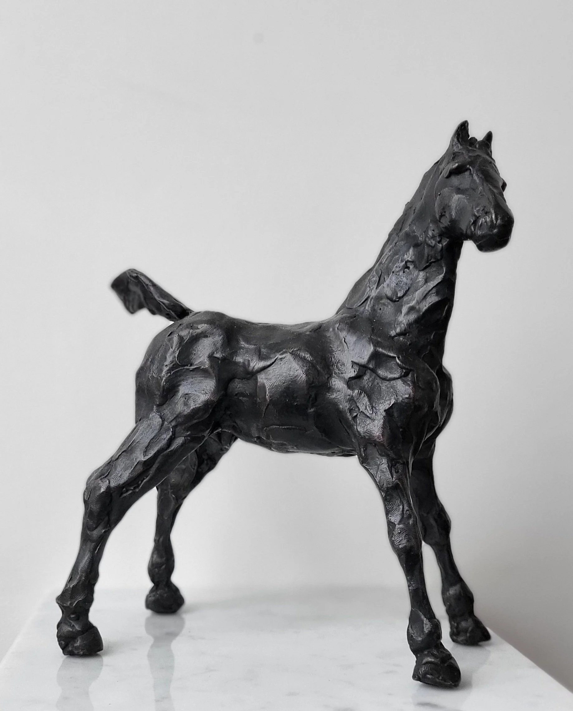 Annuska ’t Hart · Brave Foal, bronzen sculptuur, €900
