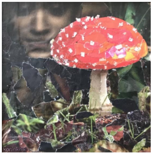 Maartje Bezemer · Agaric Mystique, collage, 15 × 14,9 cm, €240 (met lijst) / €200 (zonder lijst)
