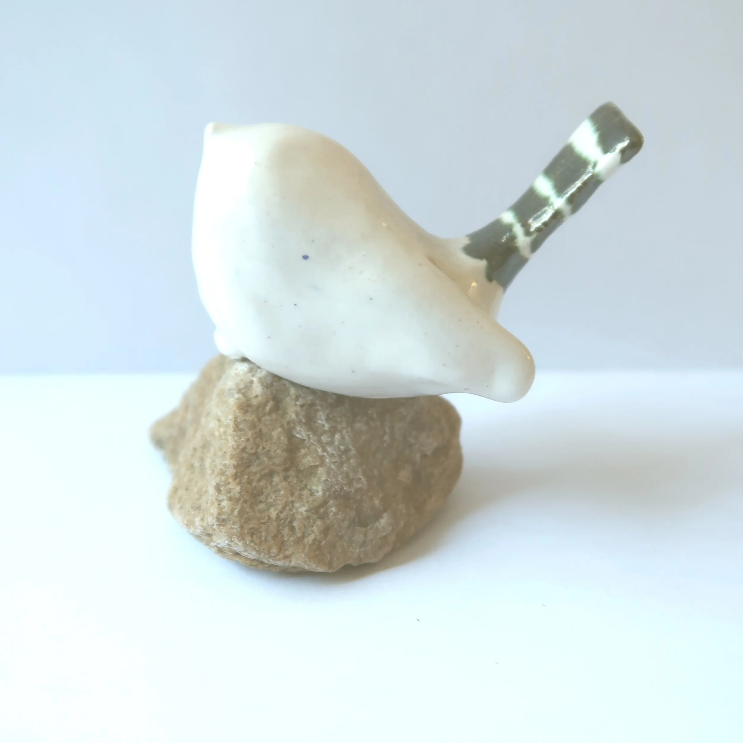 Jaqueline van Munster