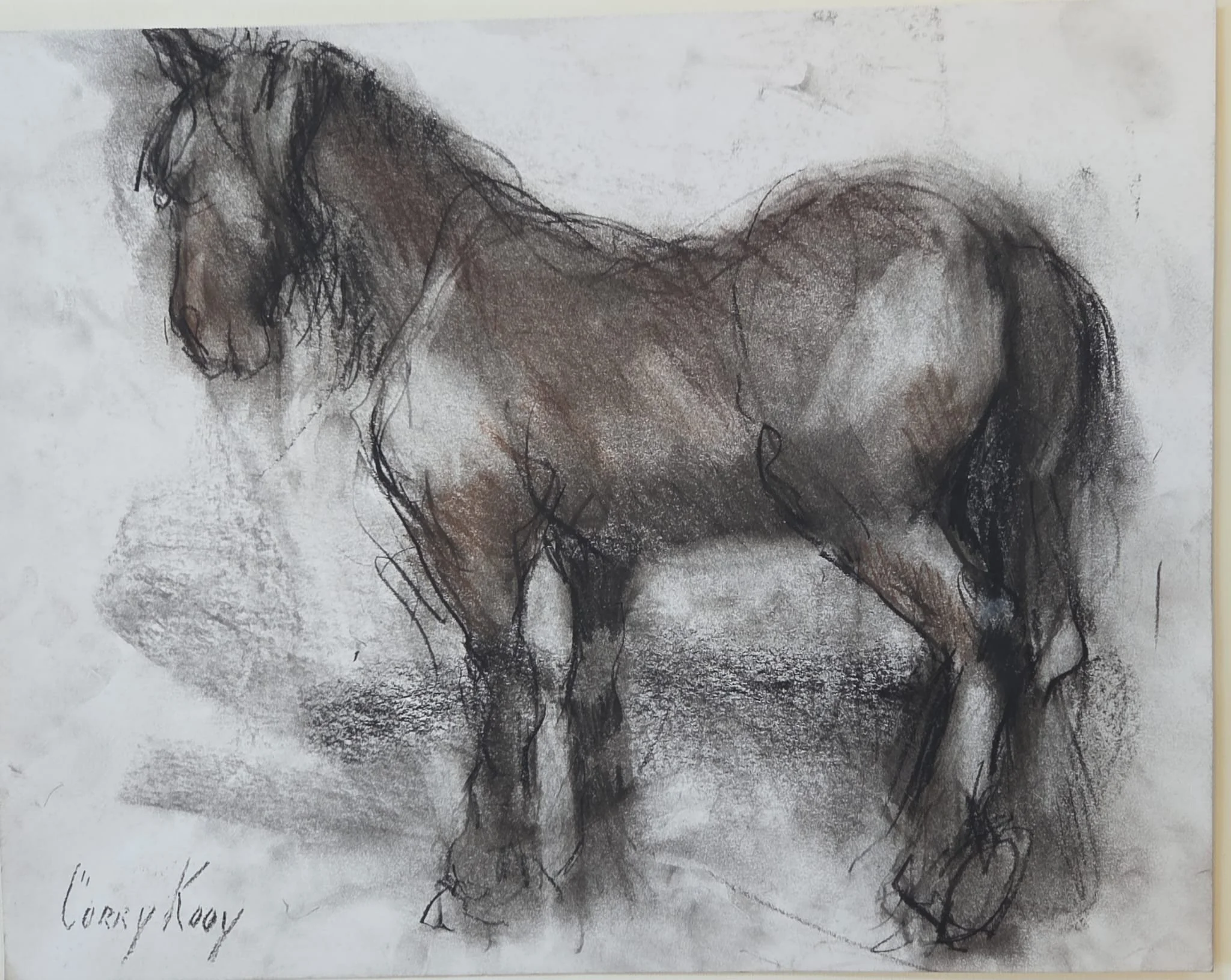 Corry Kooy · Femke, houtskool met conté ,35 x 28 cm, €125