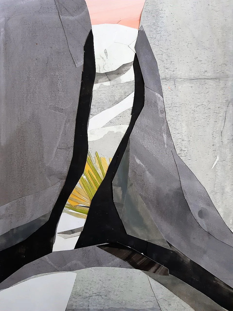 Joshua Peekaboo palm.jpg