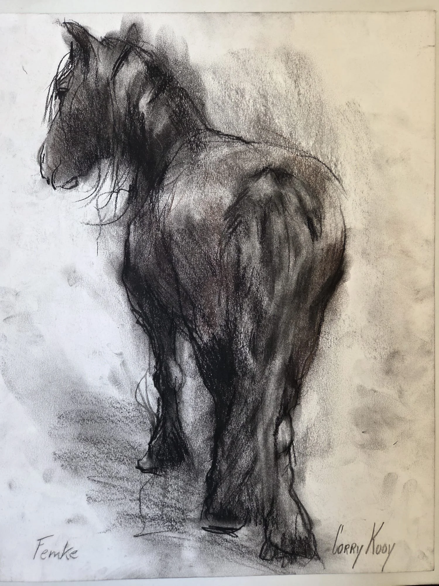 Corry Kooy · Femke, houtskool met conté , 28 × 35 cm, €125
