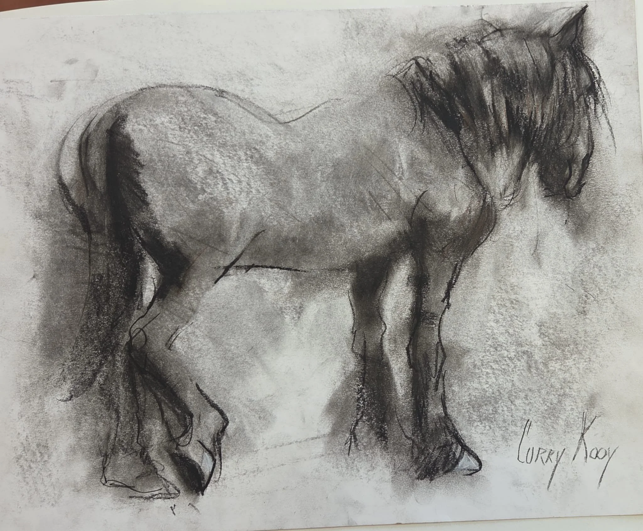 Corry Kooy · Femke, houtskool met conté ,35 x 28 cm, €125