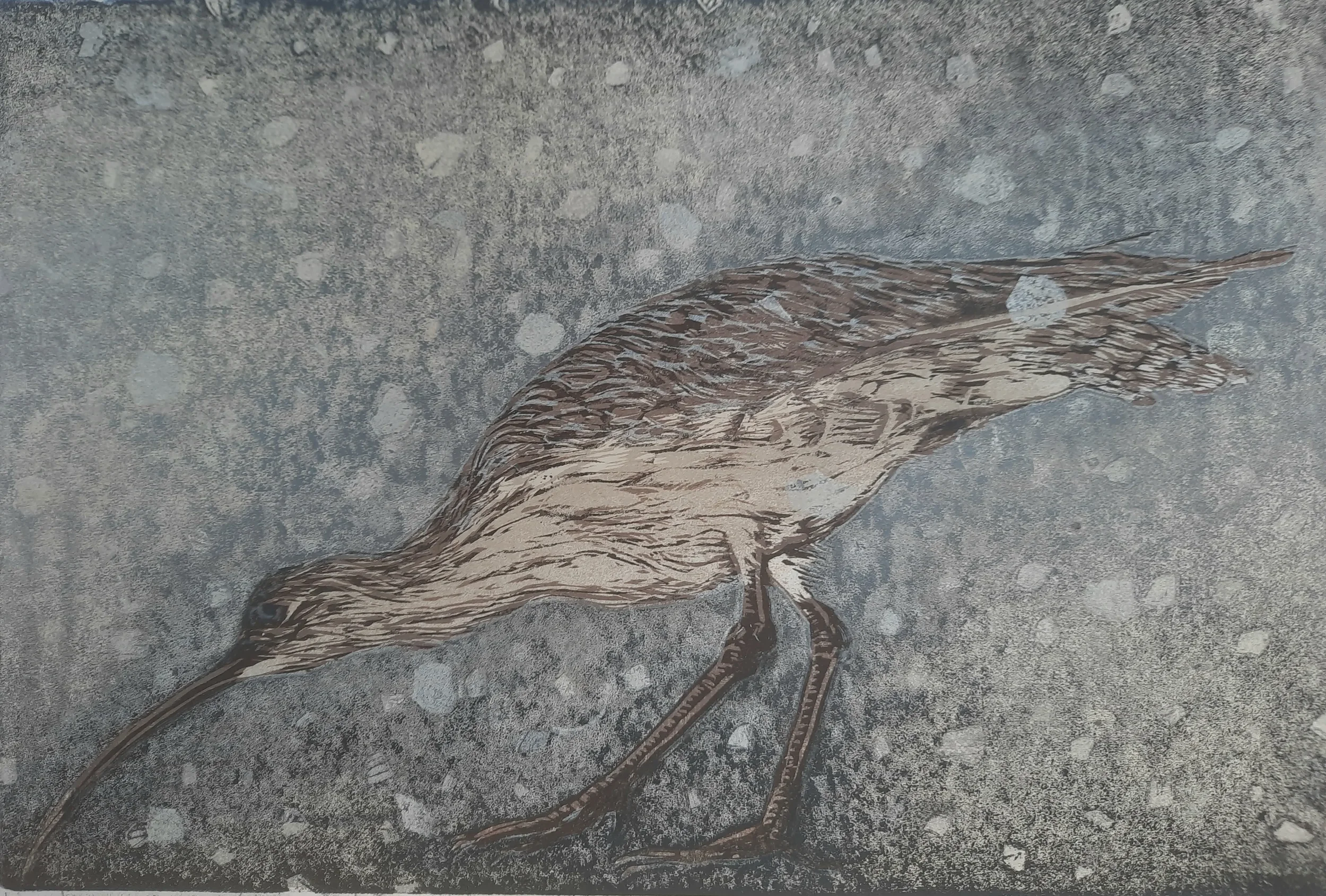 Bert Hemsteede wulp.webp