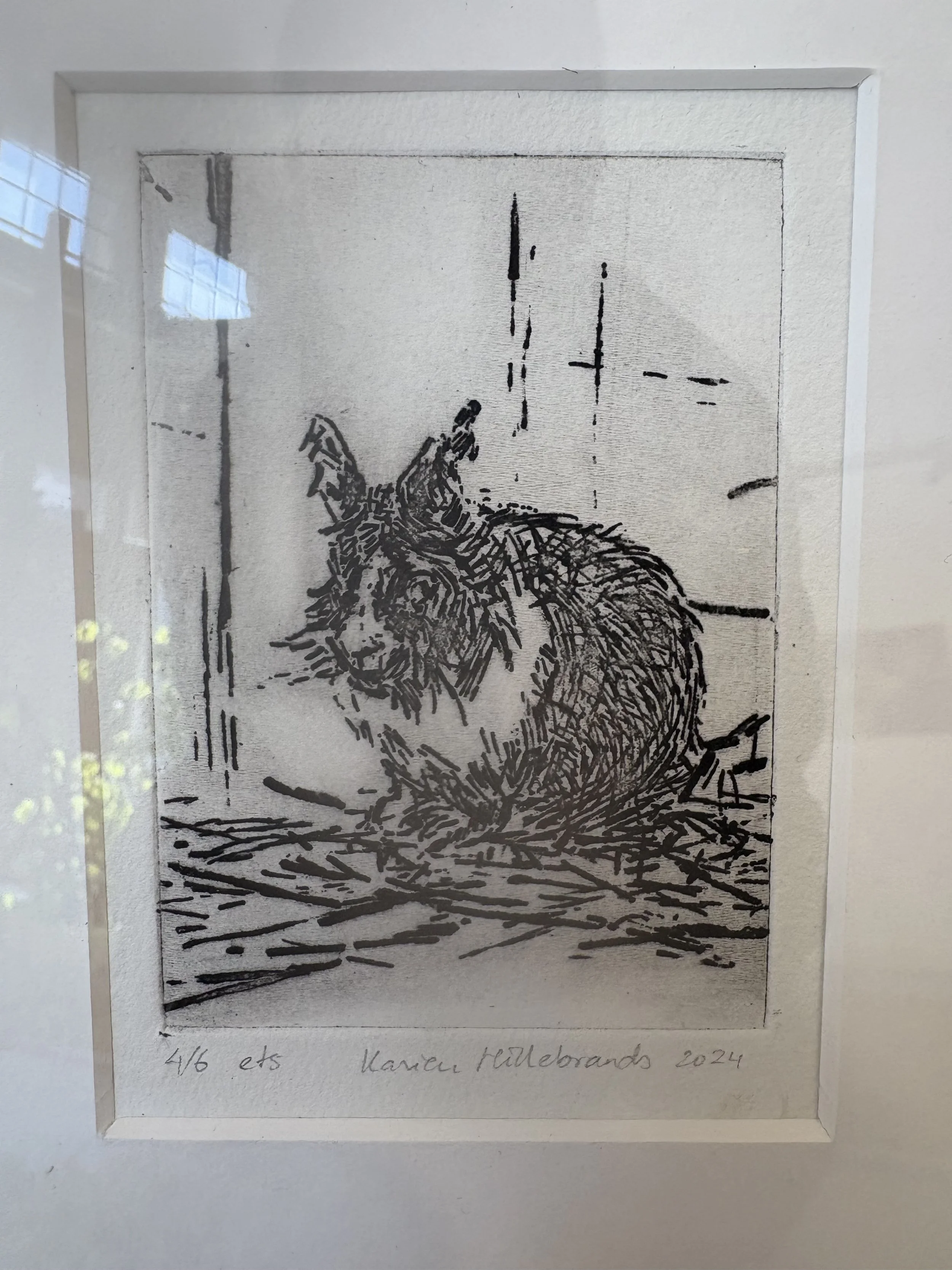 Karien Hillebrands · Konijn, ets, 19 × 13,9 cm, €100