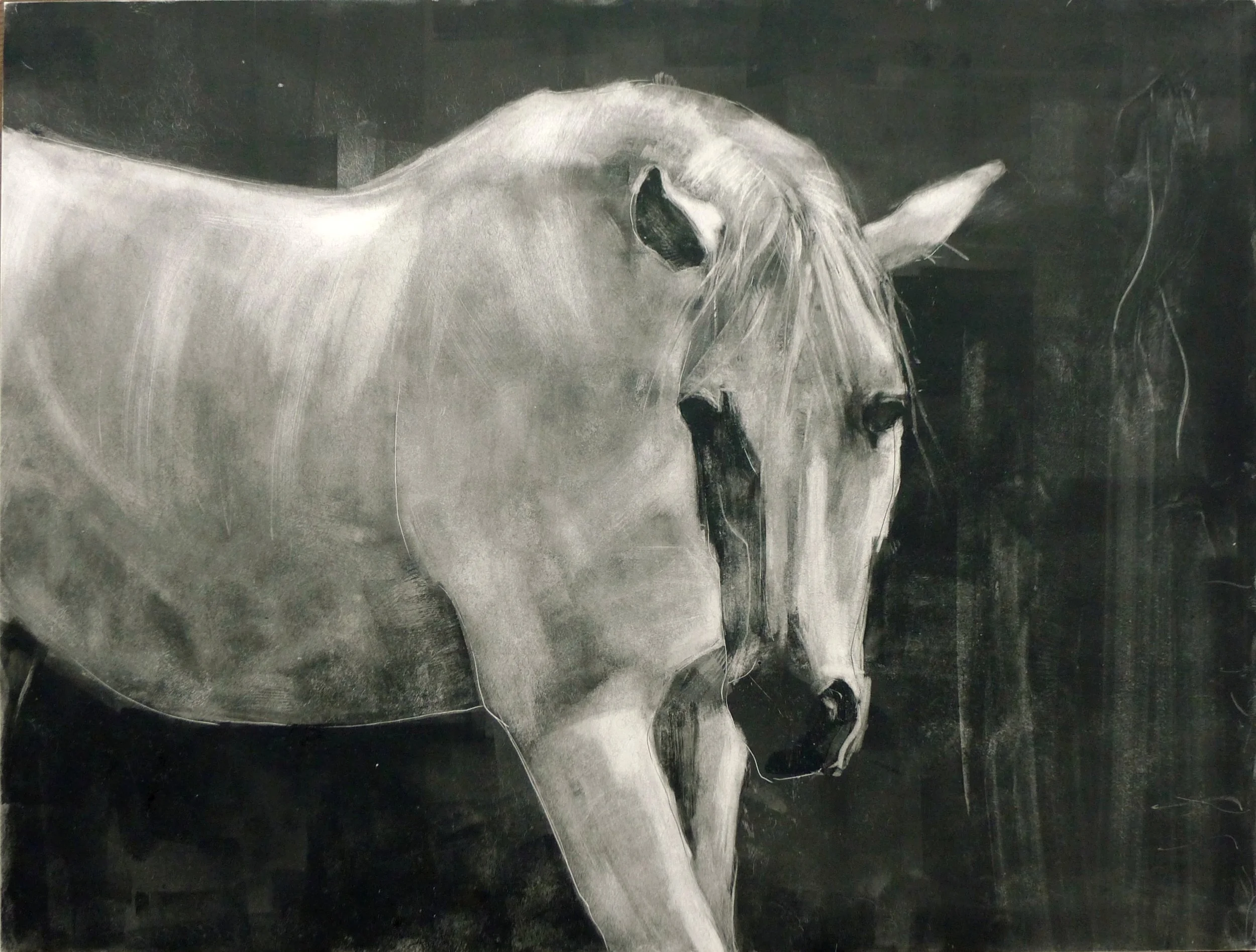 Laura Blömer · White Horses II, olieverf / drukmedium op clayboard, 30 × 40 cm, €595