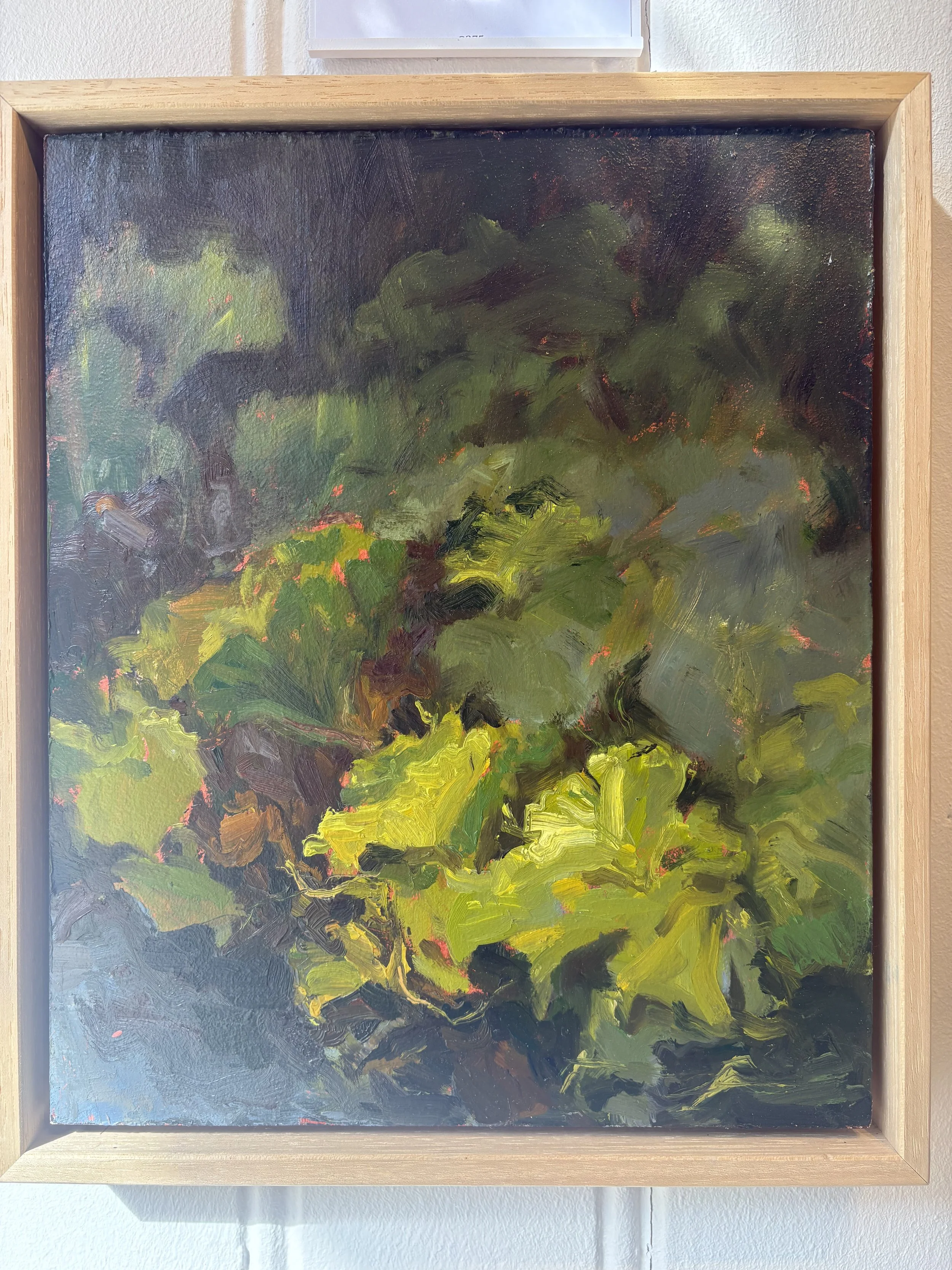 Karien Hillebrands · Groot hoefblad, olieverf op paneel, 32,7 × 27,8 cm, €485