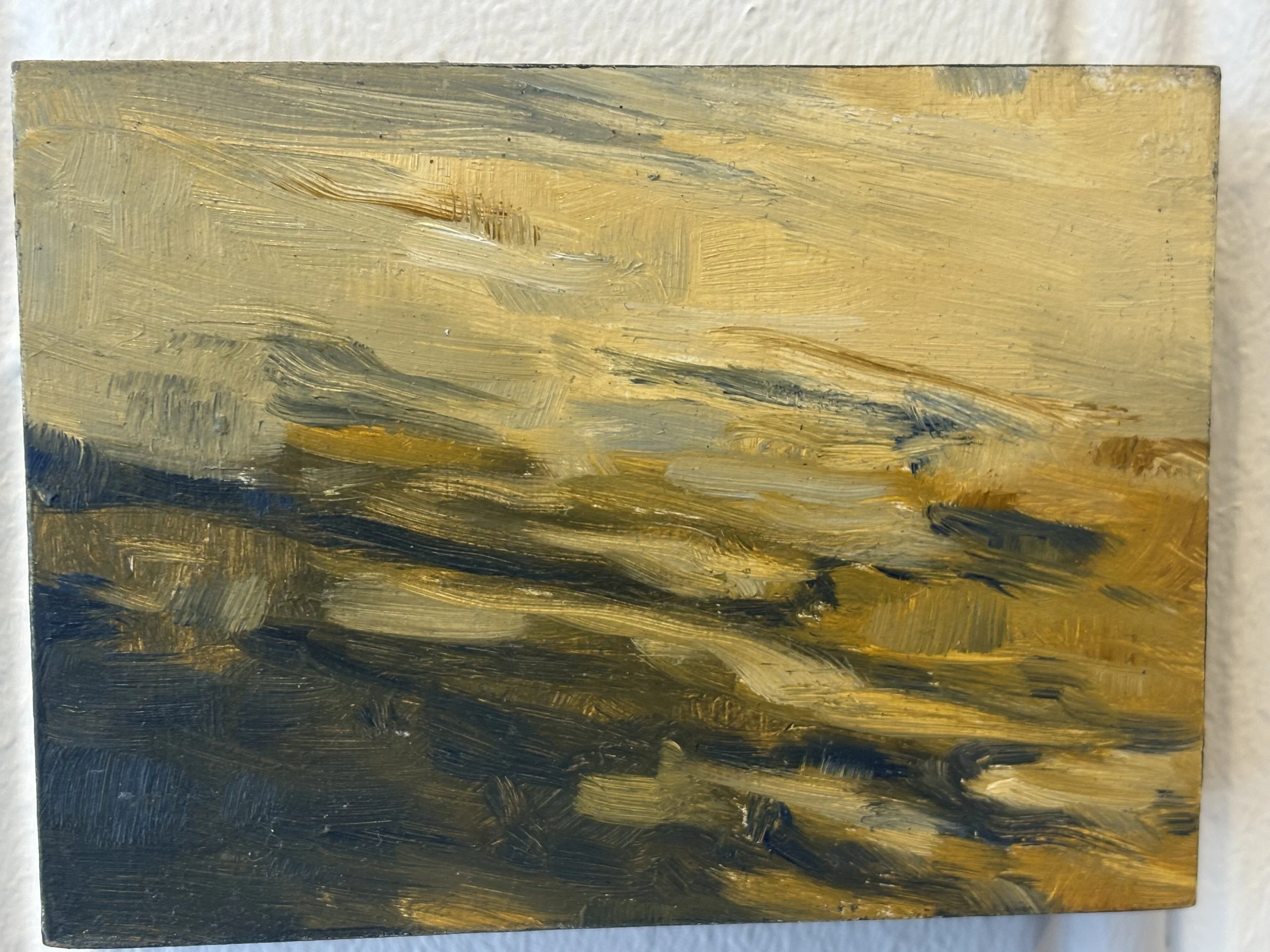 Karien Hillebrands · Schaduw 1, olieverf op MDF, 8,1 × 11 cm, €150